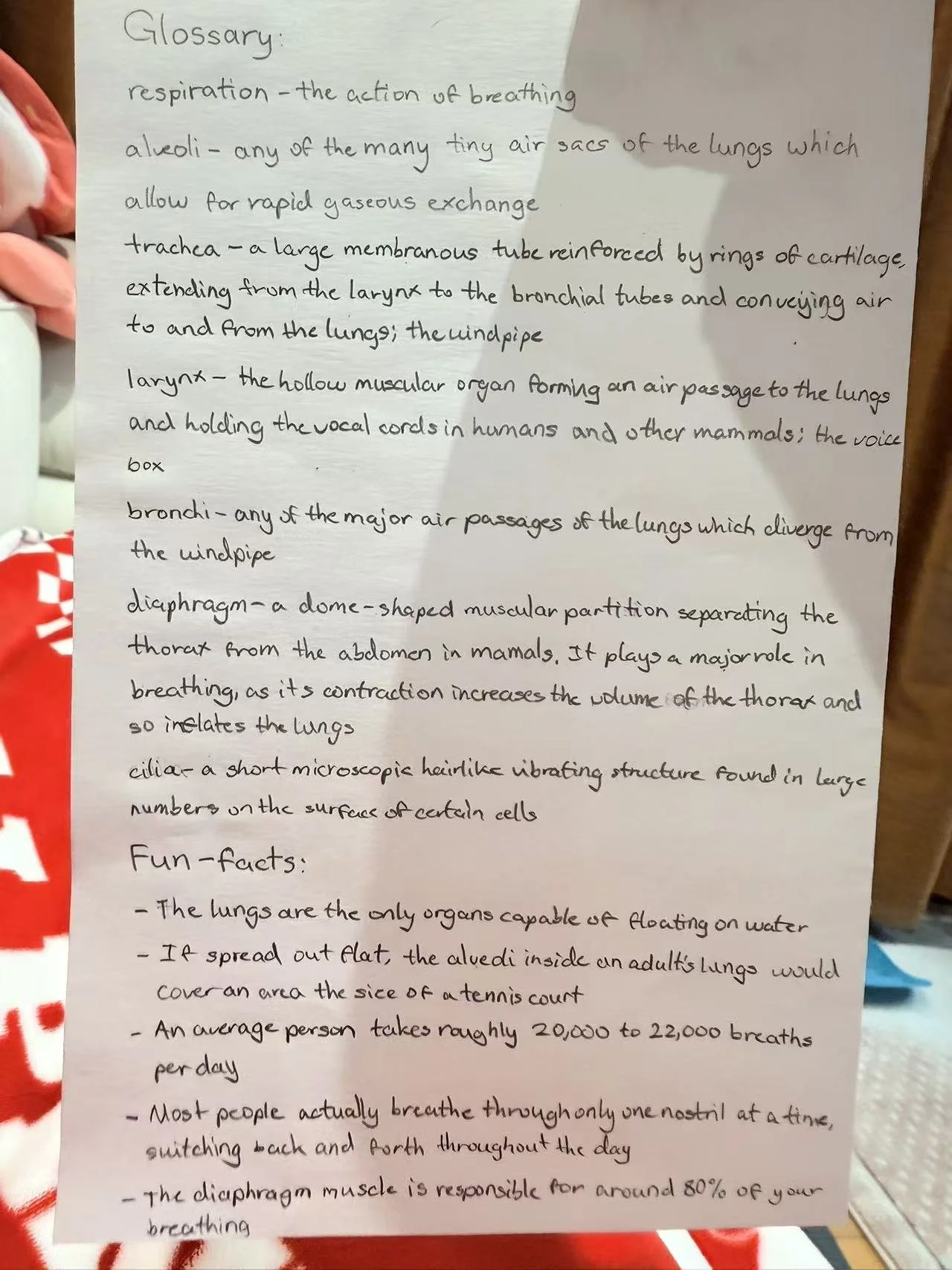 Weixin Image_20260223160648_1138_41.jpg