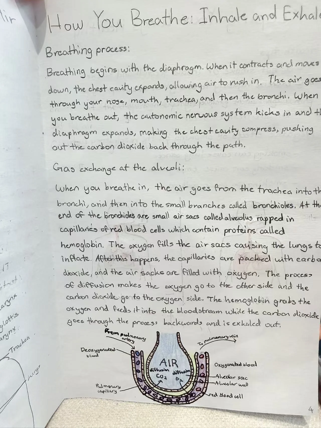 Weixin Image_20260223160645_1136_41.jpg