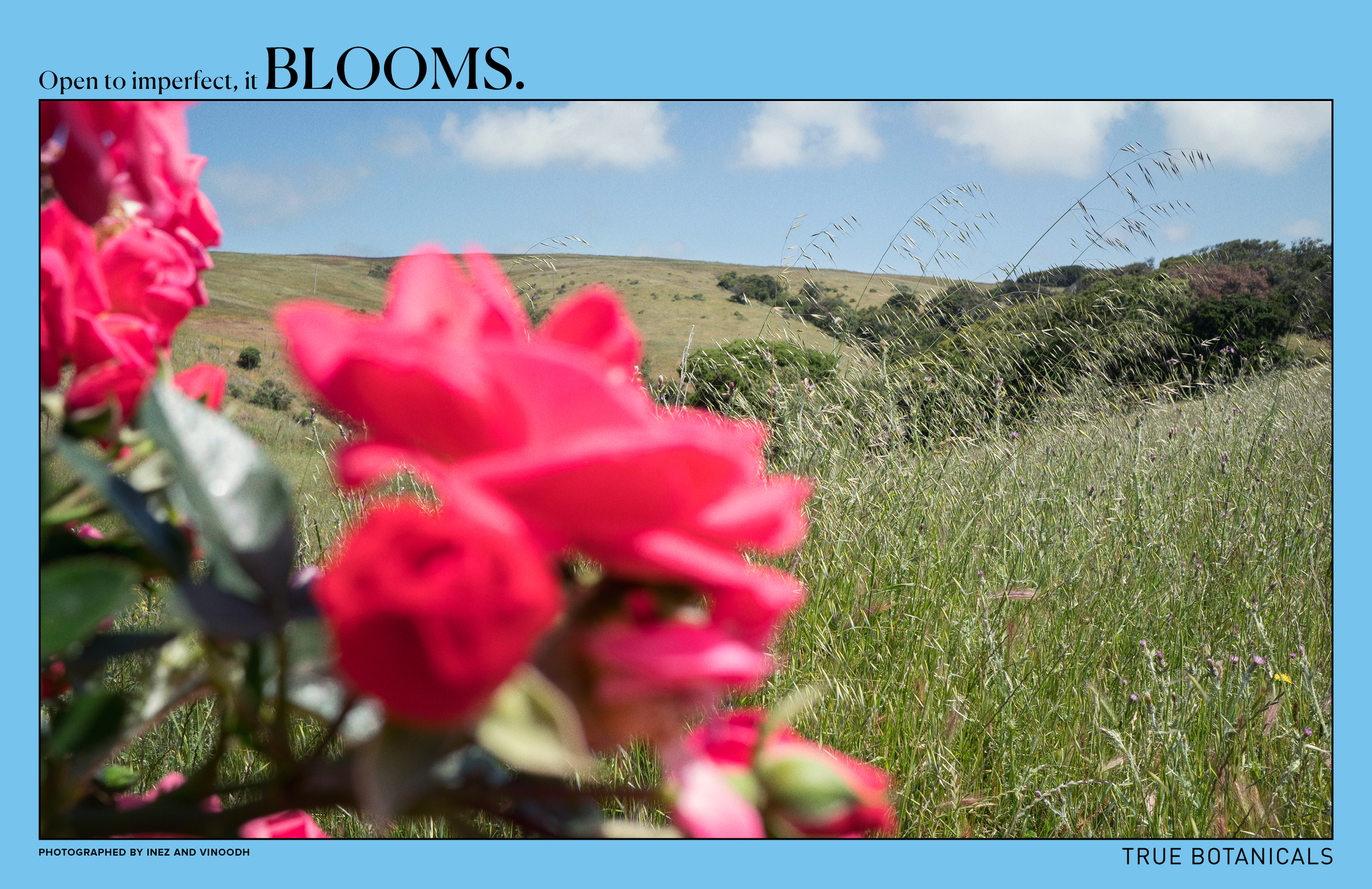 BE GOOD_TRUEbotanicals-20.png