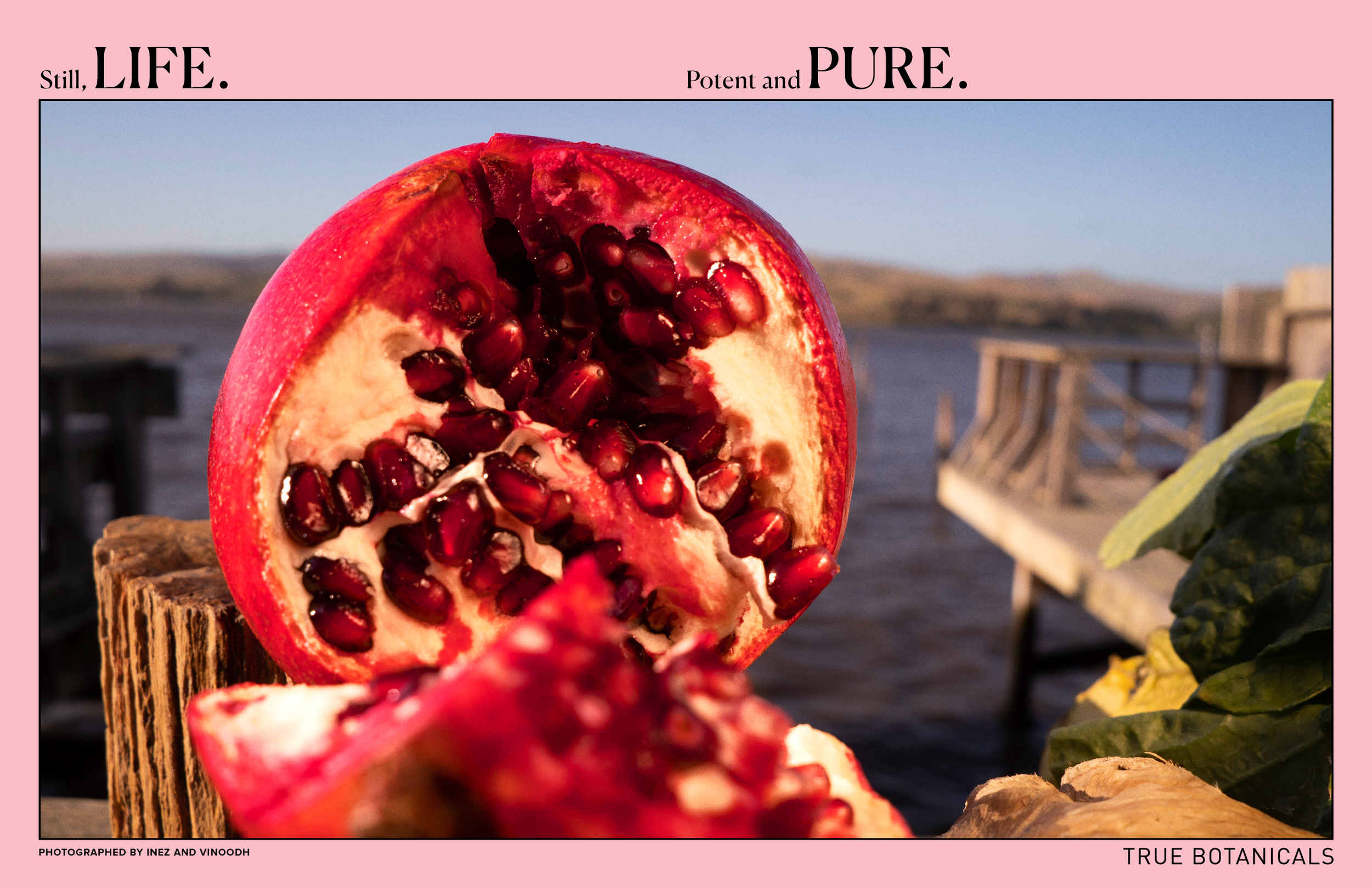 BE GOOD_TRUEbotanicals-7.png