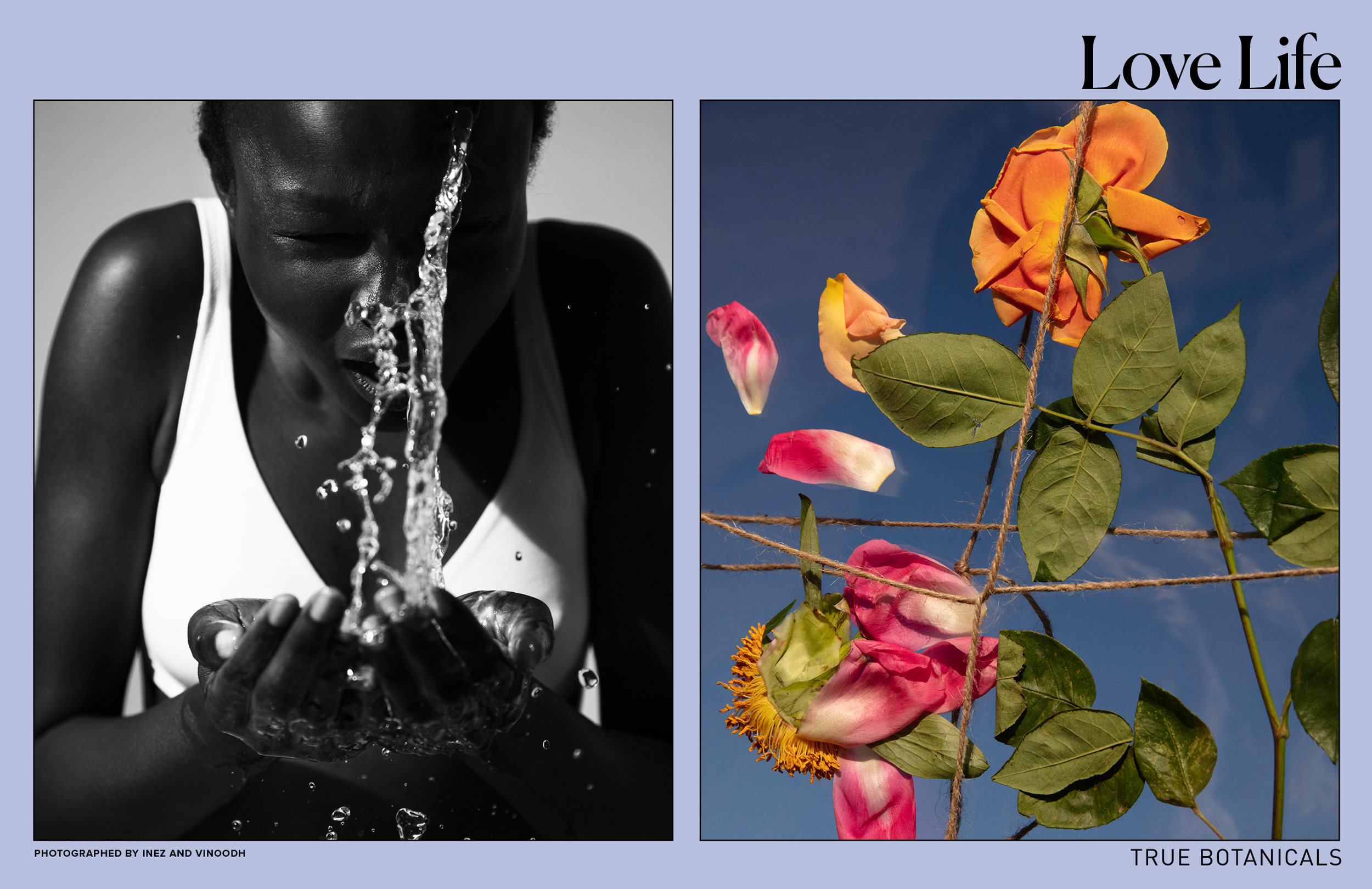 BE GOOD_TRUEbotanicals-11.png