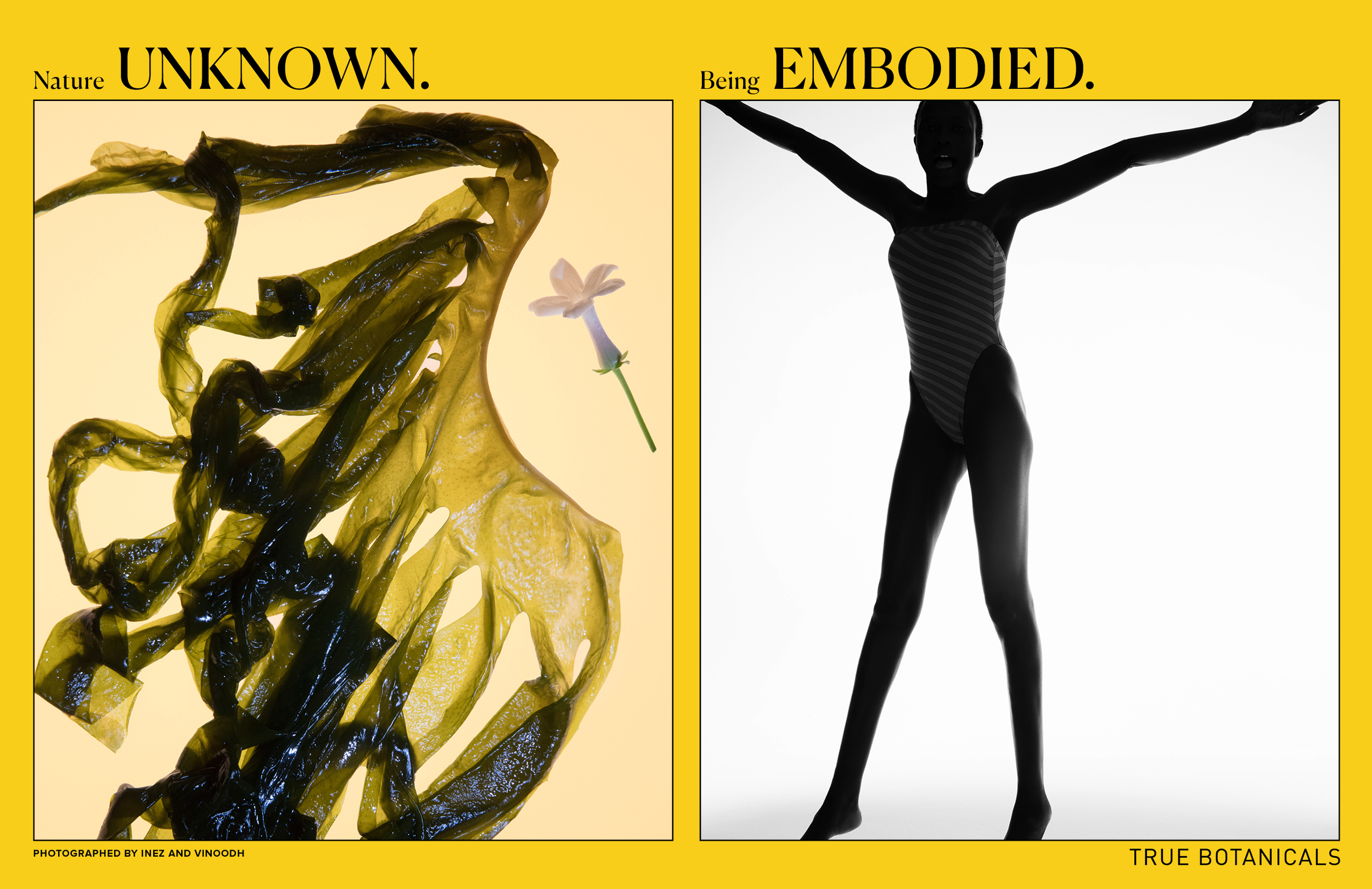 BE GOOD_TRUEbotanicals-22.png