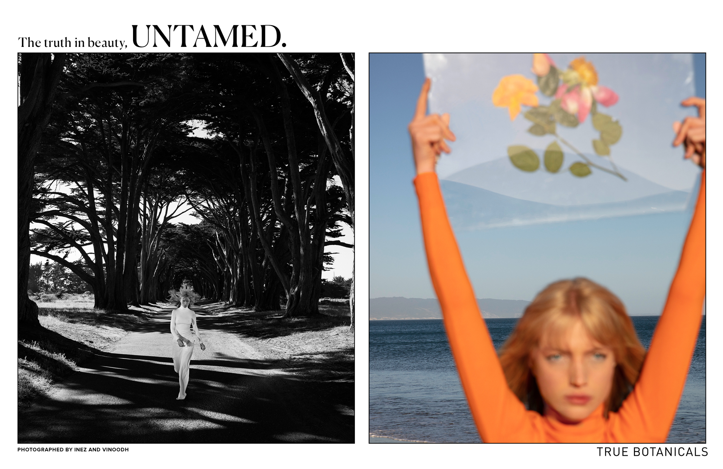 BE GOOD_TRUEbotanicals-2.png