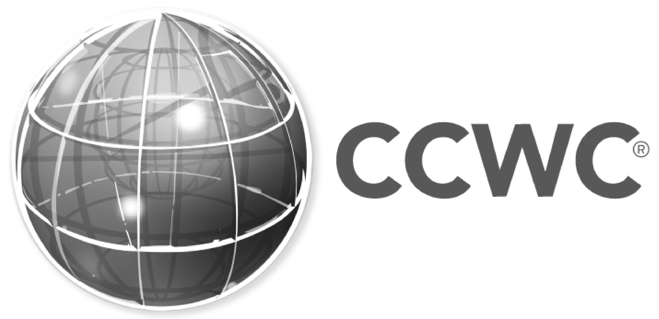 A grayscale logo featuring a globe with latitude and longitude lines next to the word "CCTV" in bold letters.