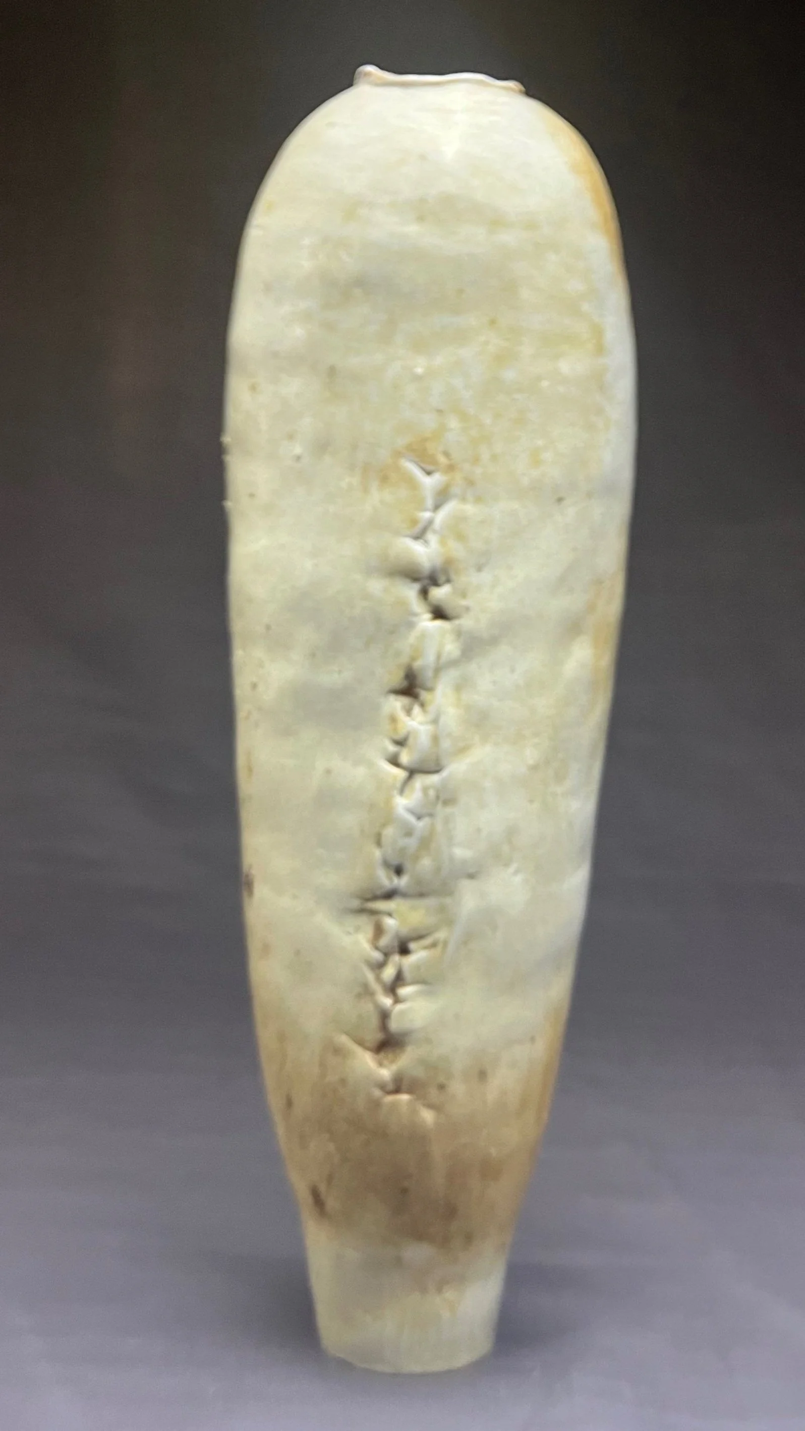 A close-up view of a fossilized shark tooth, showing its elongated shape and serrated edges.