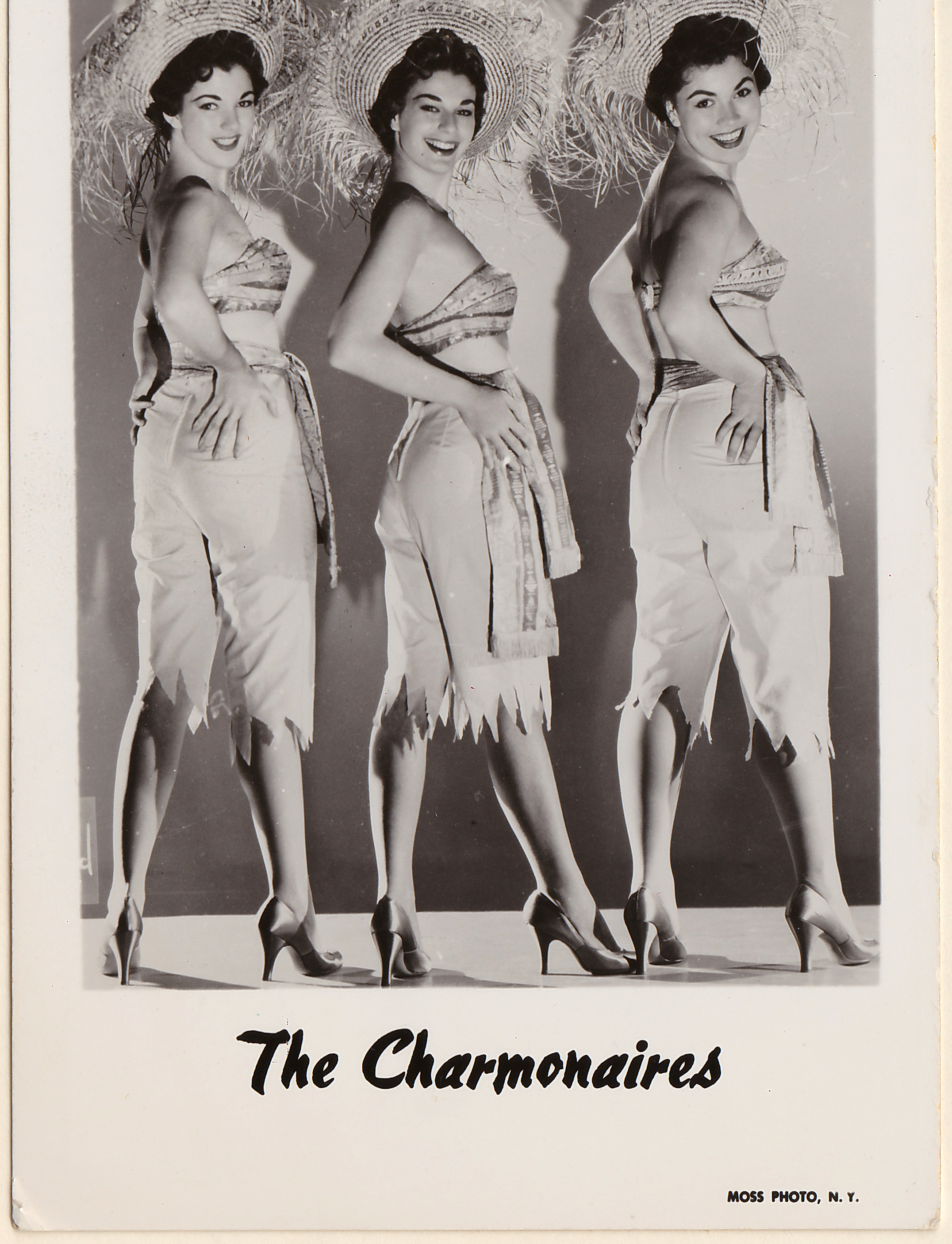 charmonaires group bw.png