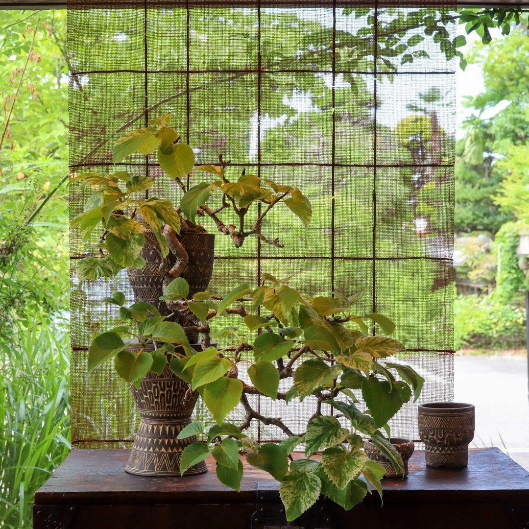 荻野善史展_202515.jpg