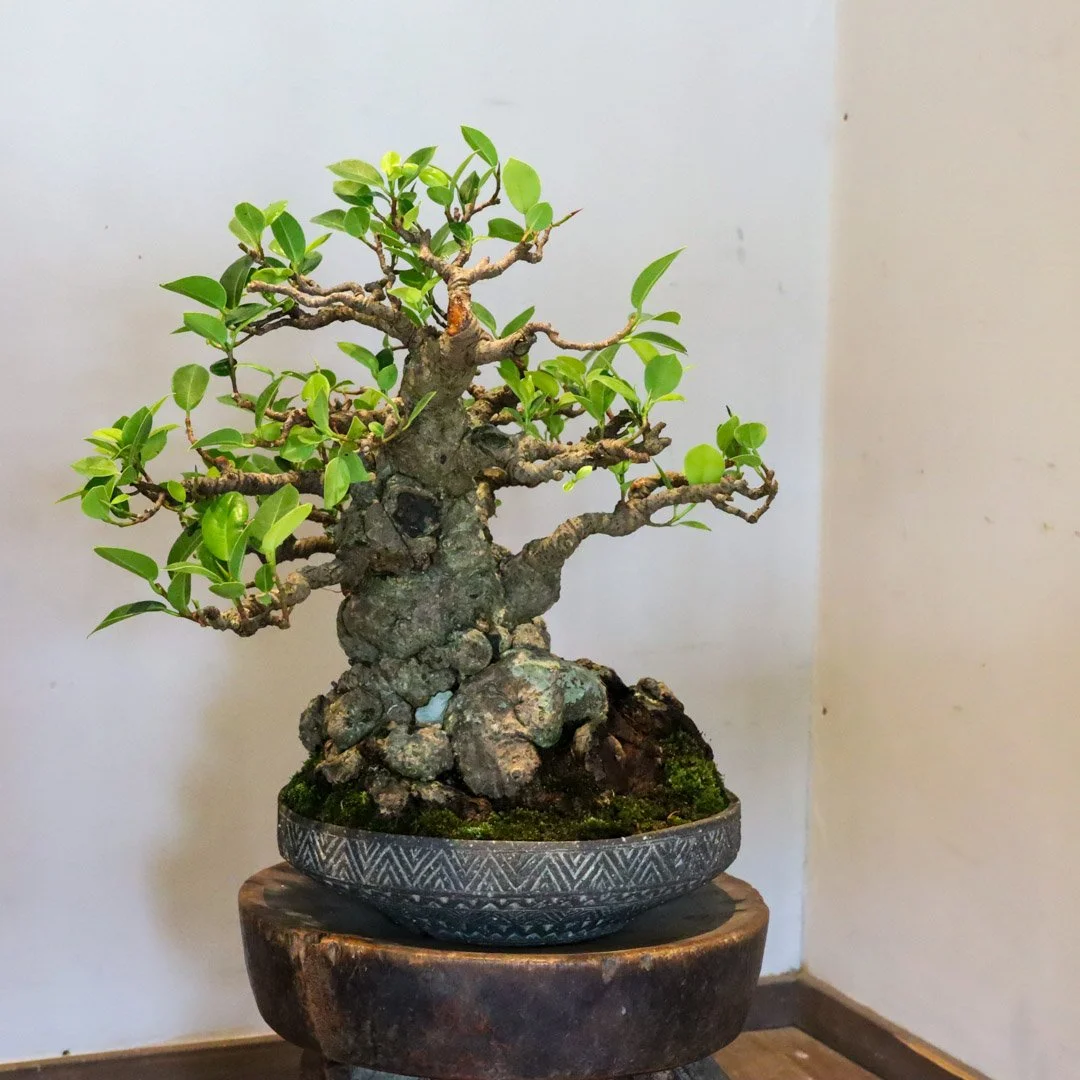 荻野善史展_202518.jpg