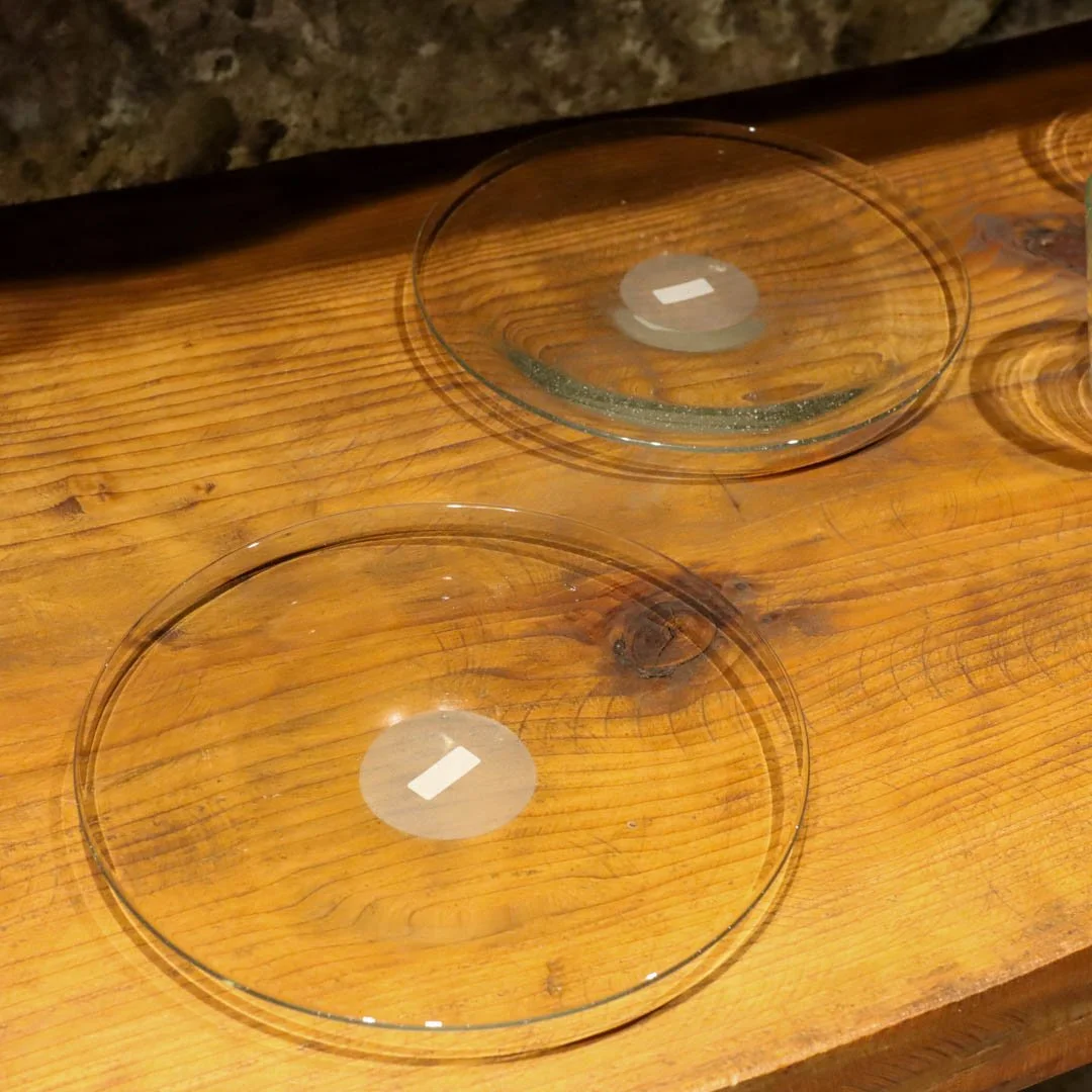 素材展2025 (5).jpg