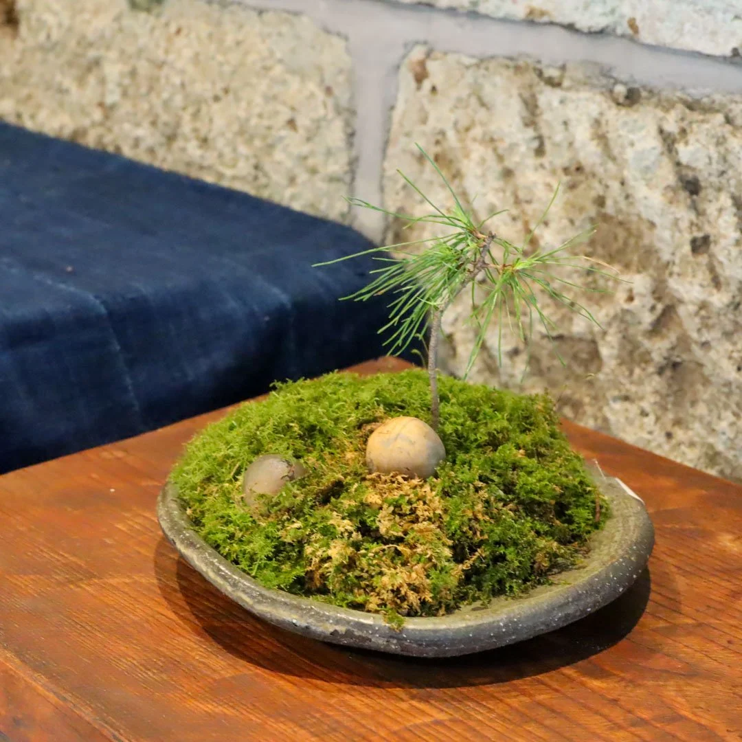 素材と表現展_表現 (35).jpg