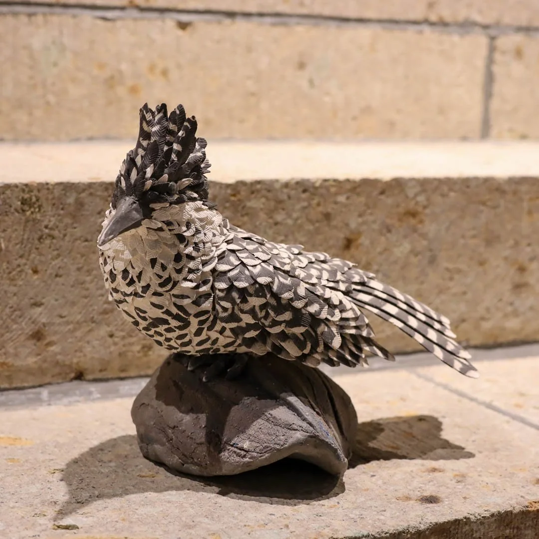 田山健司展_2025 (1).jpg