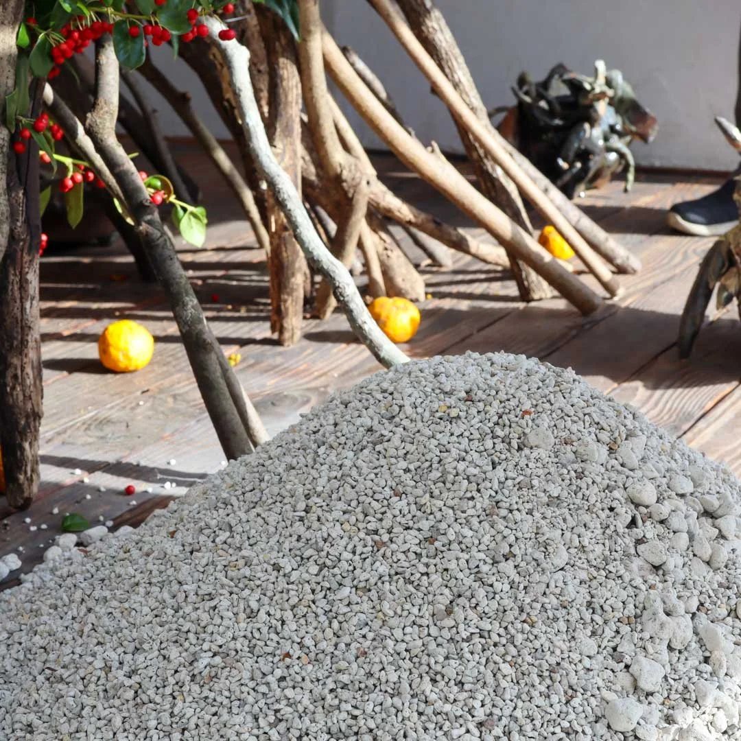 ASJ今成誠一展_2025 (7).jpg