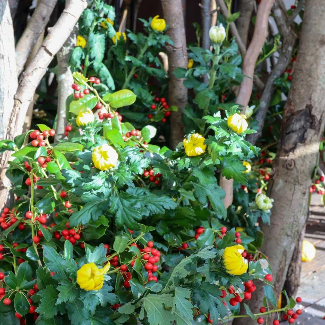 ASJ今成誠一展_2025 (8).jpg