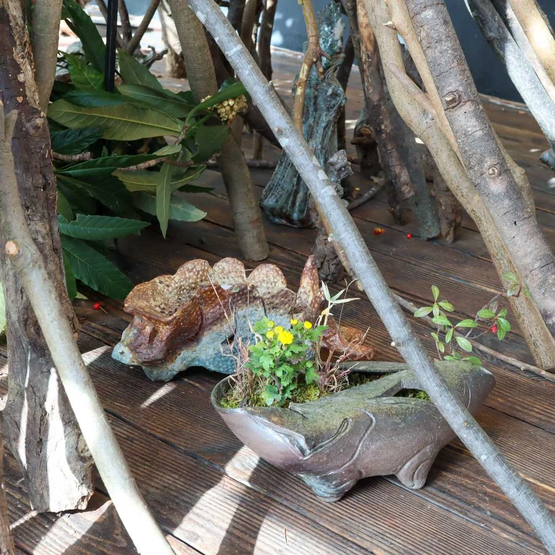 ASJ今成誠一展_2025 (11).jpg