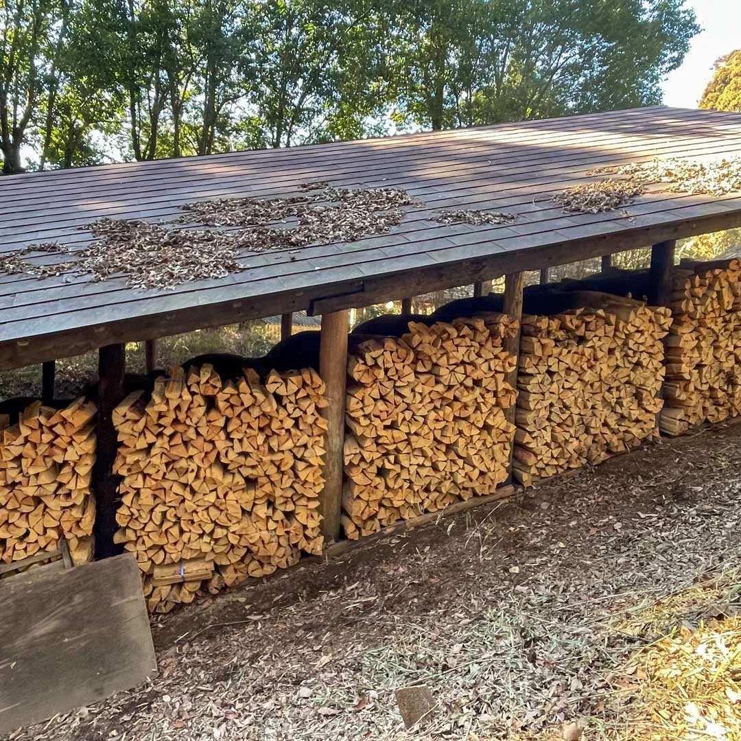 登り窯プロジェクト2026 (14).jpg