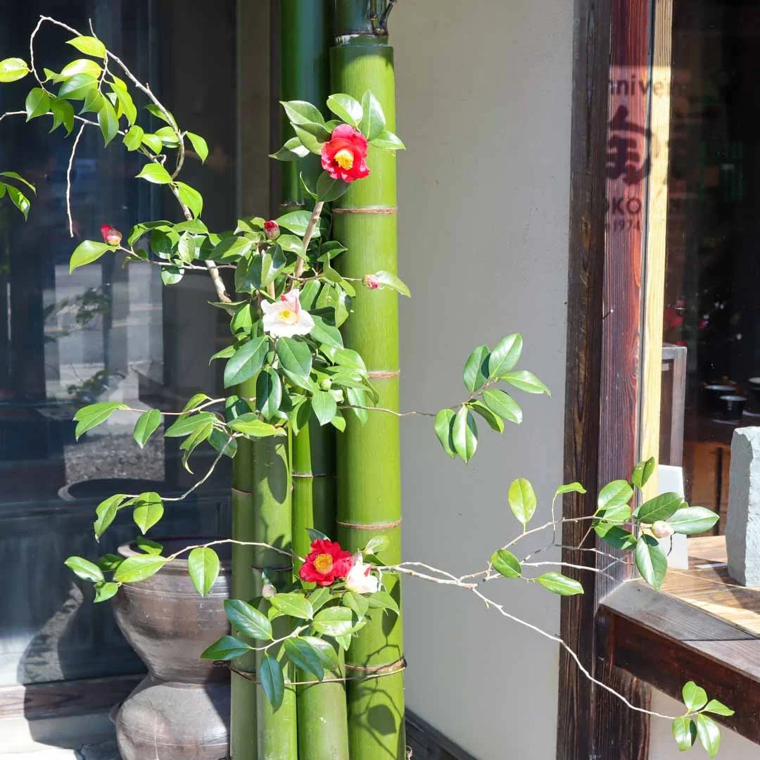 椿の器考_2026 (6).jpg