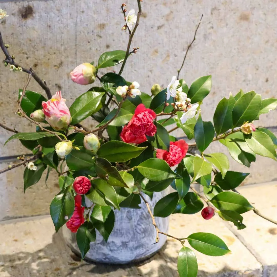 椿の器考_2026 (9).jpg