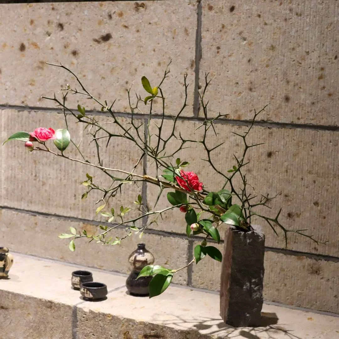 椿の器考_2026 (13).jpg