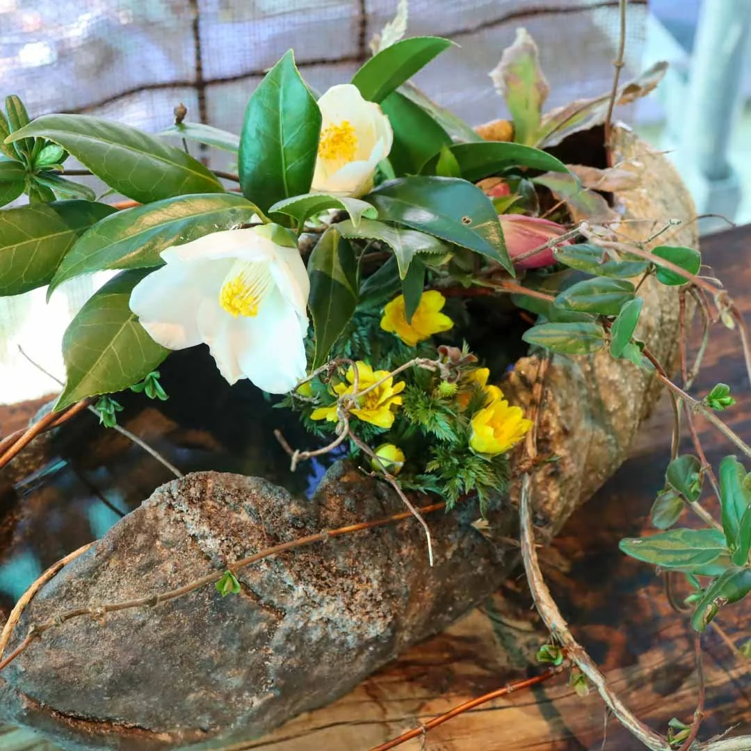 椿の器考_2026 (18).jpg