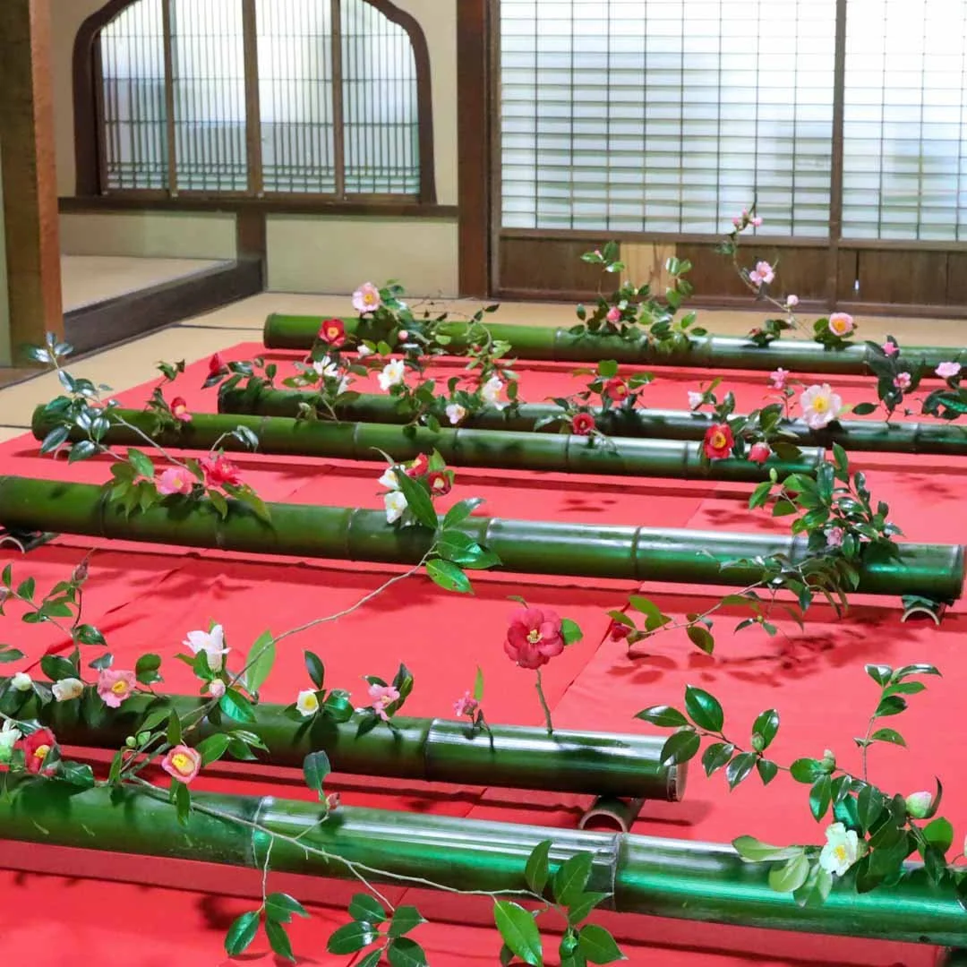 椿の器考_2026 (20).jpg