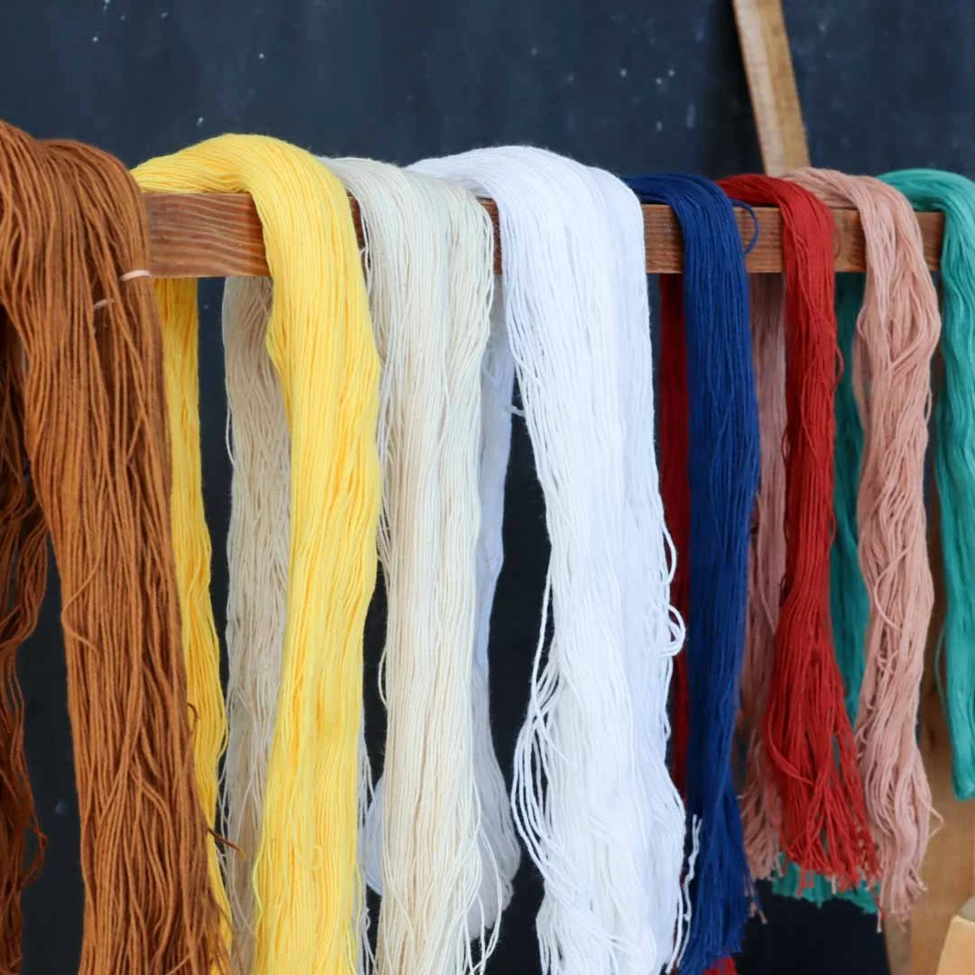 Teras_ASJ_2026 (10).jpg