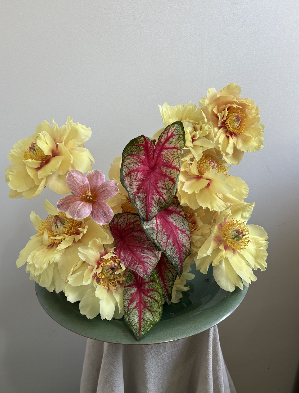 Screenshot 2026-03-29 at 3.42.02 PM.png