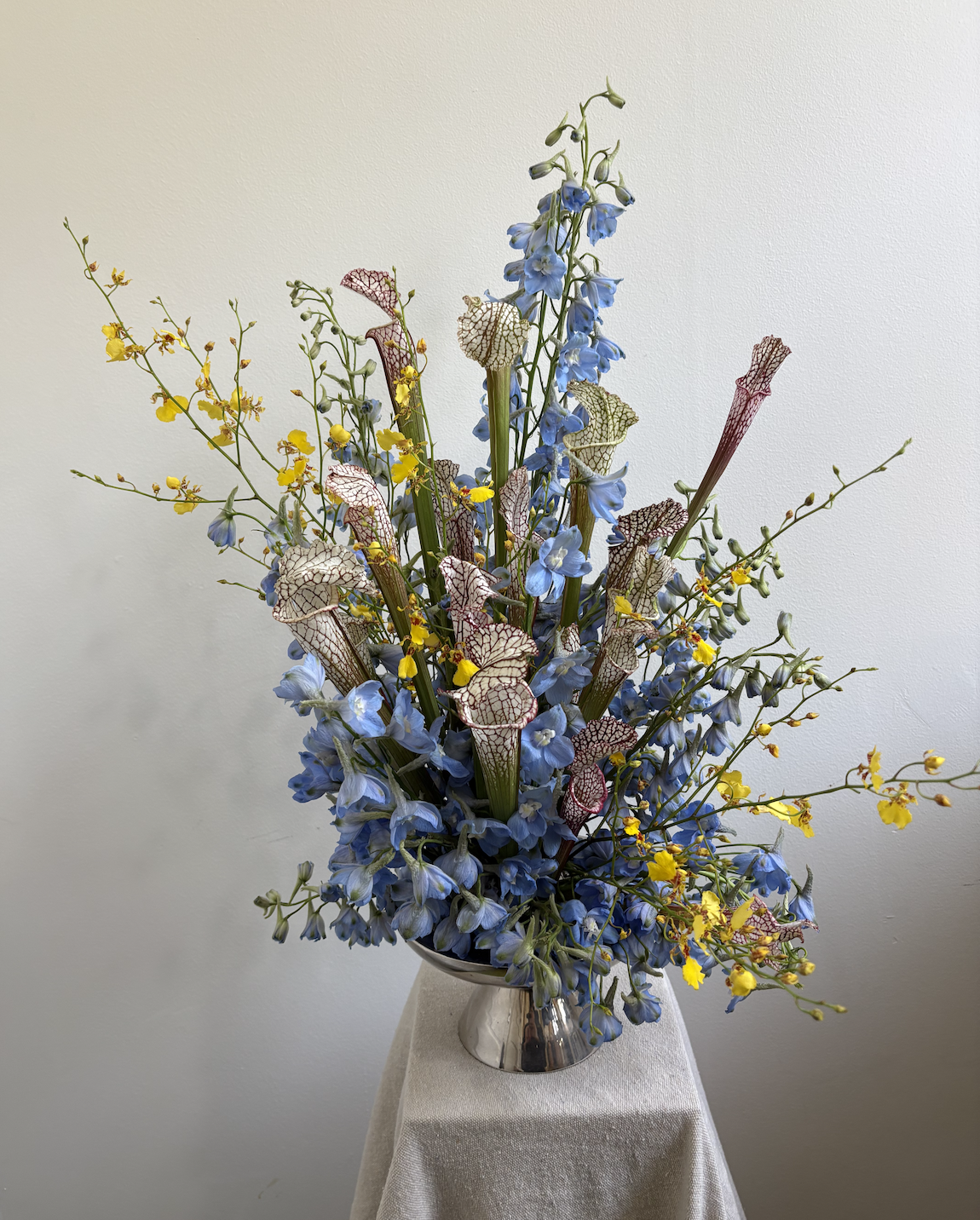 Screenshot 2026-03-29 at 3.43.58 PM.png