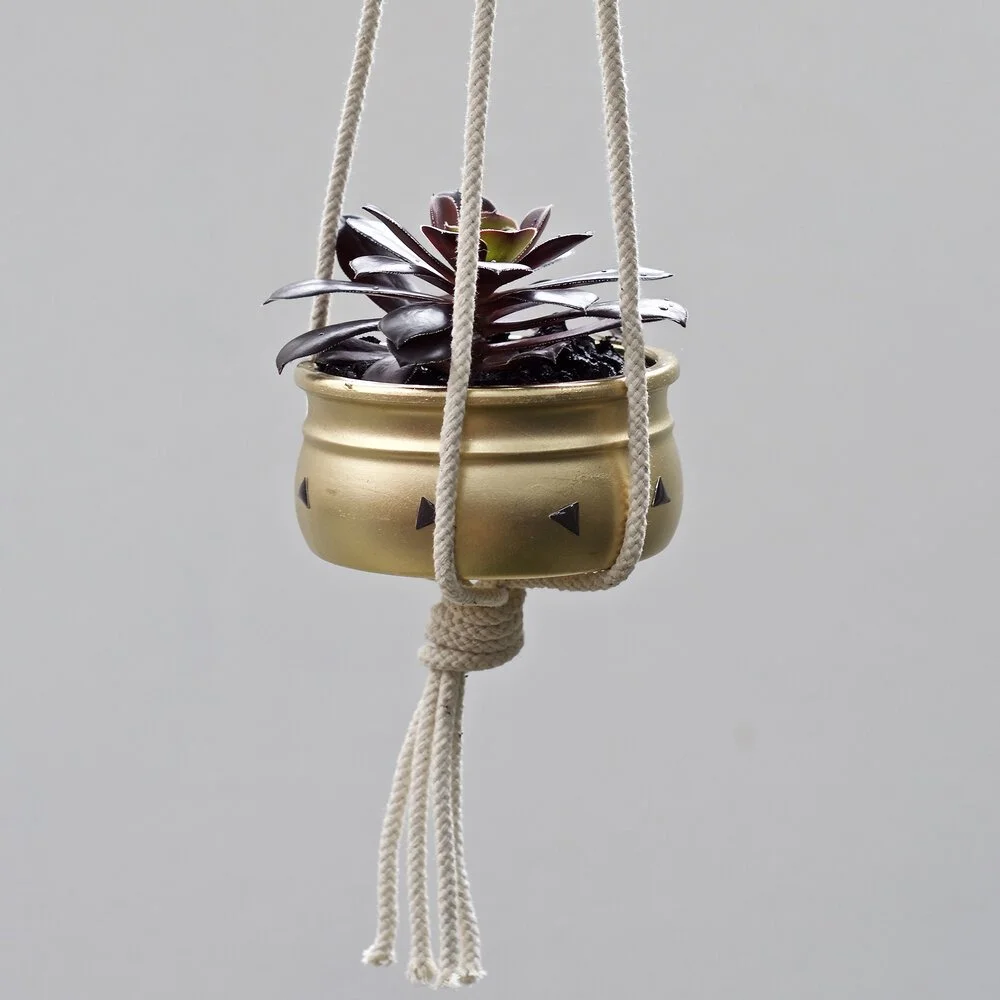 hangingplanter.jpg