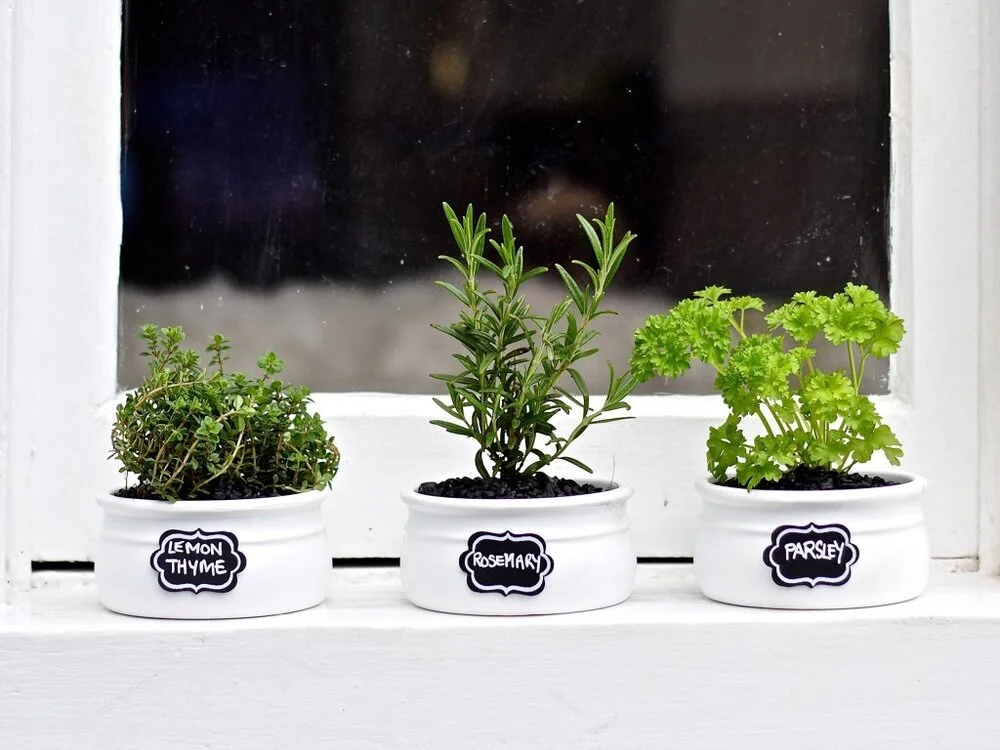 herbplanter2.jpg