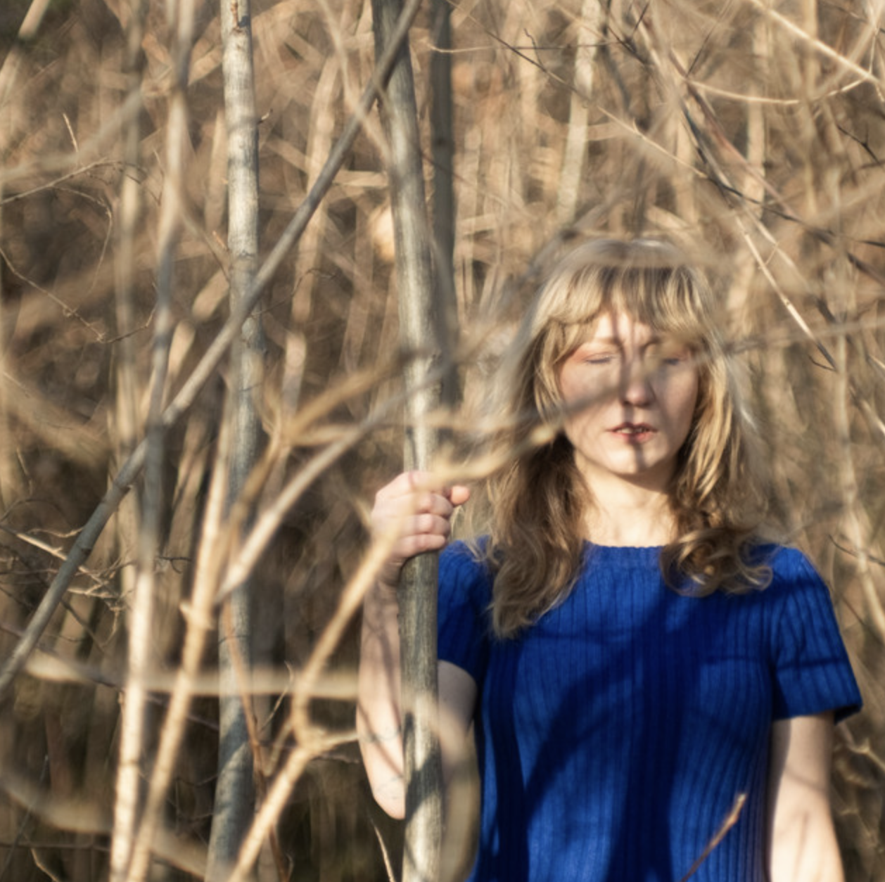 Nilipek. - Safe Coast