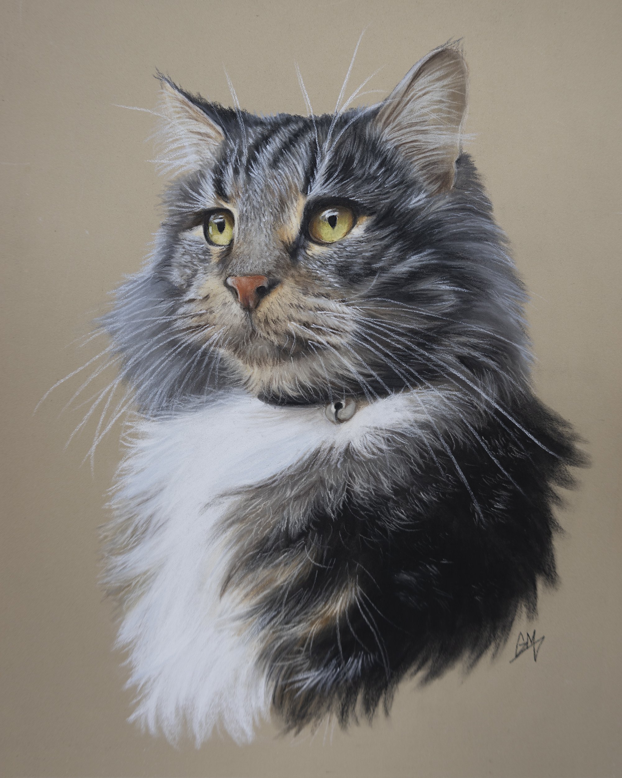 A detailed pastel drawing of a long-haired tabby and white cat with yellow eyes, wearing a collar with a small bell, against a plain beige background.