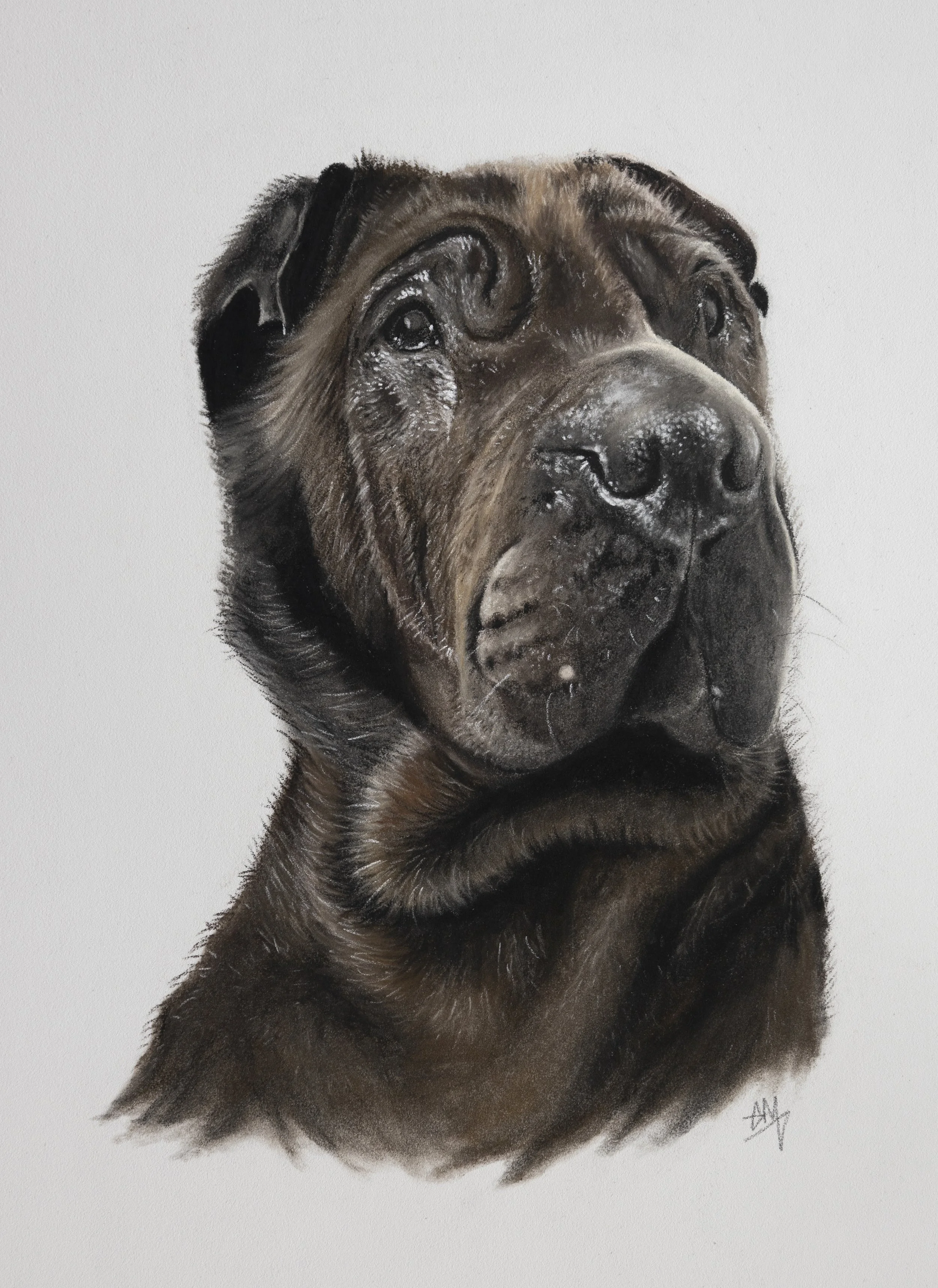A realistic portrait painting of a large, black and brown Mastiff dog with a solemn expression, against a plain white background.