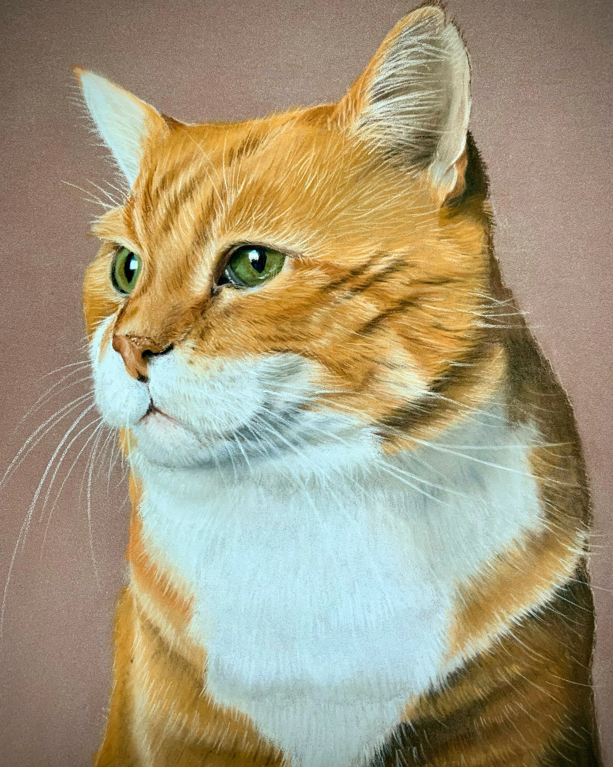 Close-up realistic pastel drawing of an orange tabby cat with green eyes looking to the side, against a pinkish background.