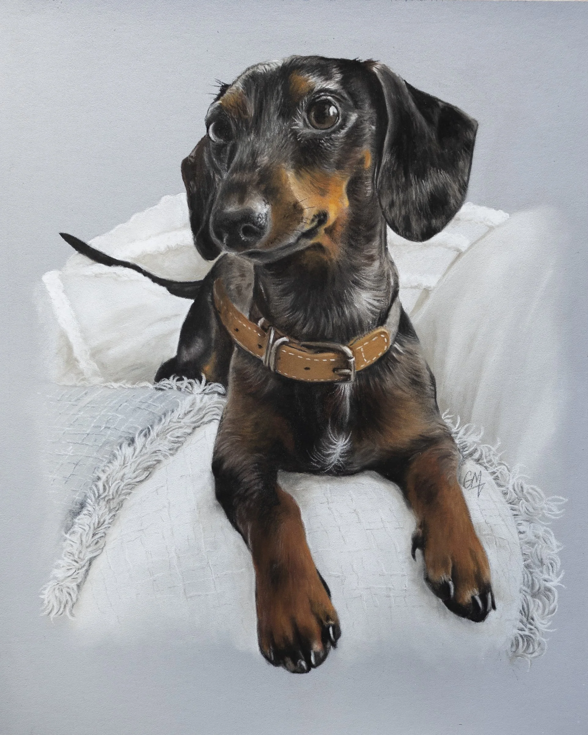 A realistic drawing of a black and tan Dachshund puppy with a brown collar, sitting on a white textured blanket with a white pillow in the background.