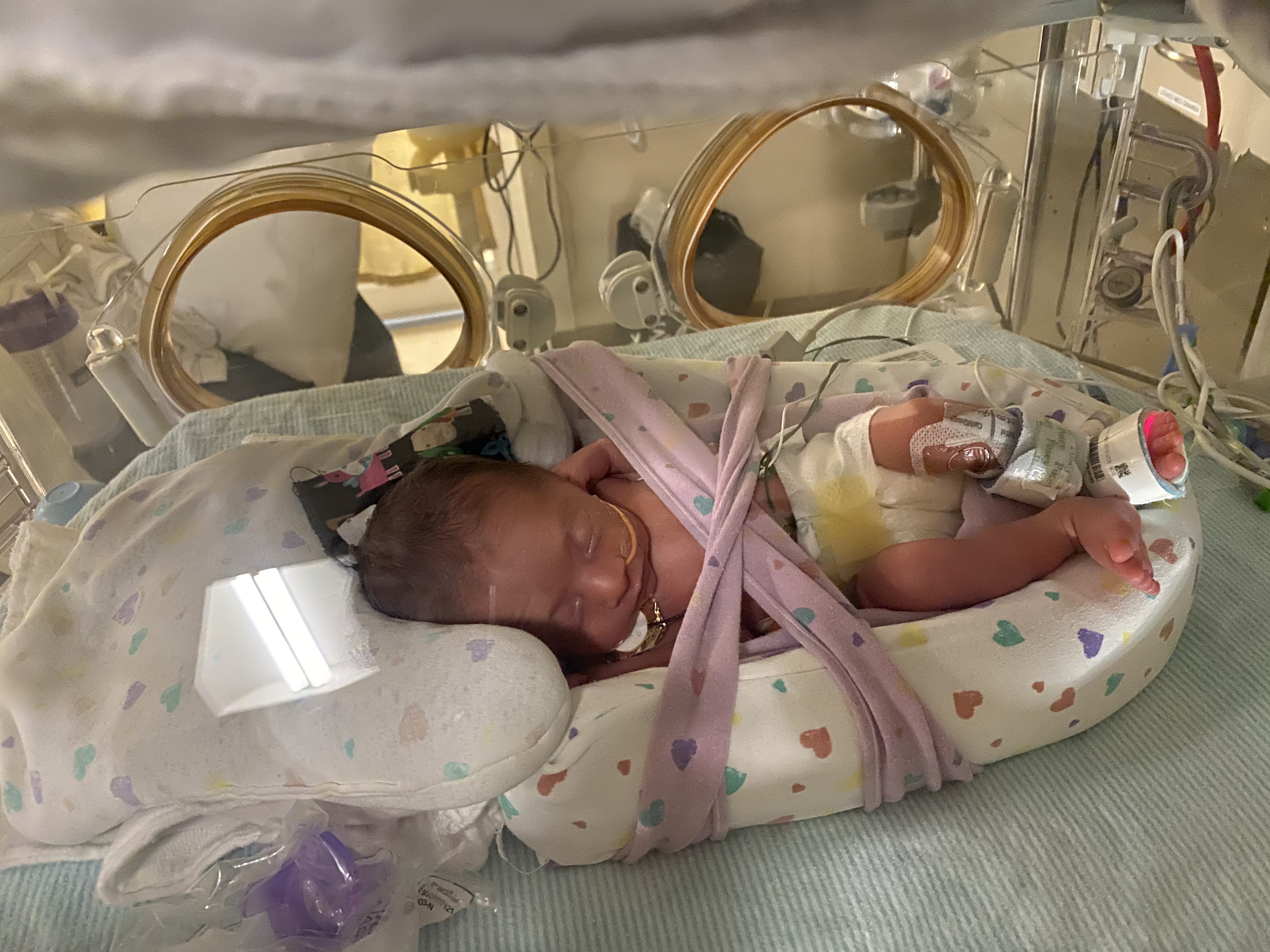 rylan nicu.png