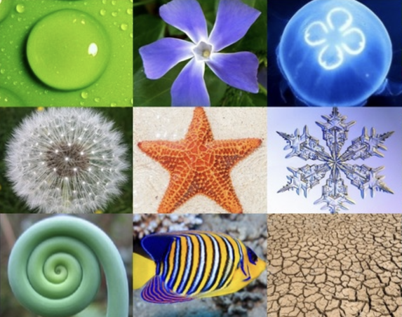 A-LIGNing Perspectives: The Laws of Life and Nature
