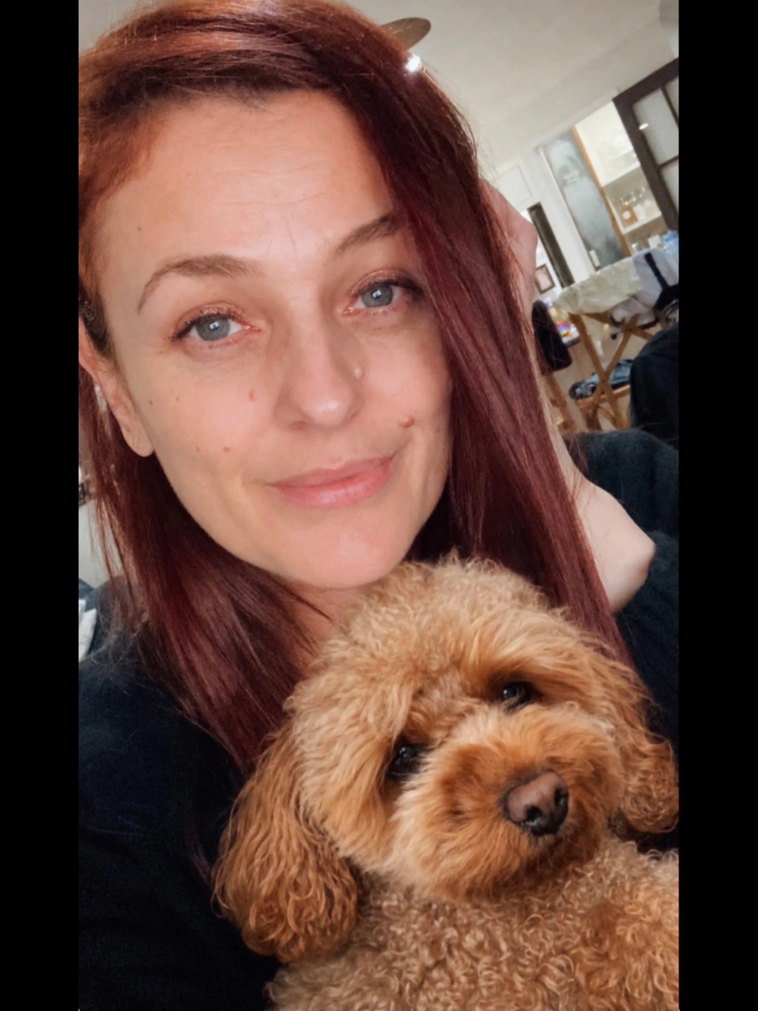 ❤️Happy International Dog Day, everyone!!🐶Especially to my little shadow, best friend and studio assistant, Daisy! 🐶🥰Life is so much sweeter with you in it!❤️
.
#girlsbestfriend #puppy #dog #doglife #toycavoodle