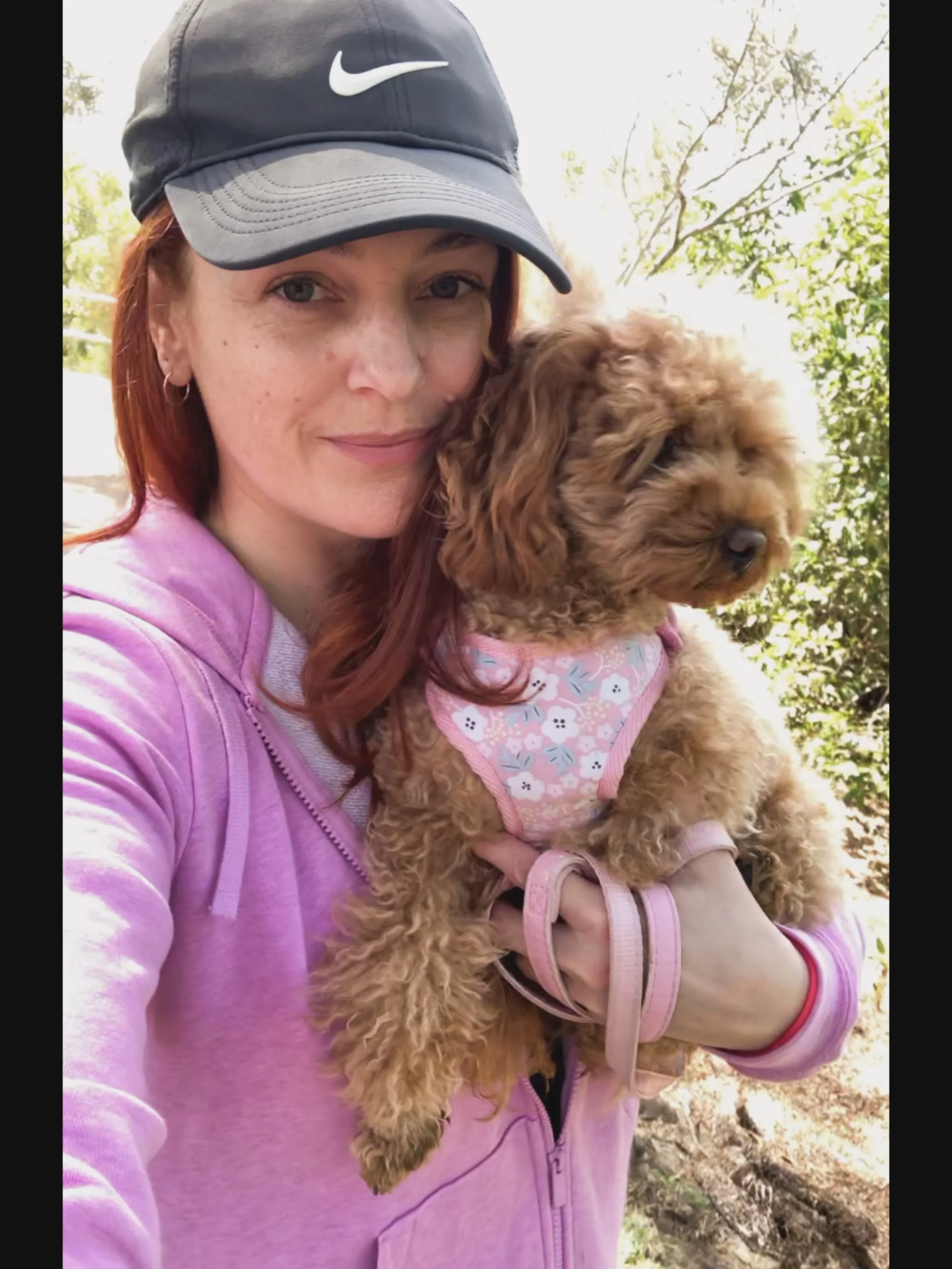 🌳☀️It&rsquo;s the simple things&hellip;like a morning walk amongst the mangroves with this cutie! 🥰🐶
