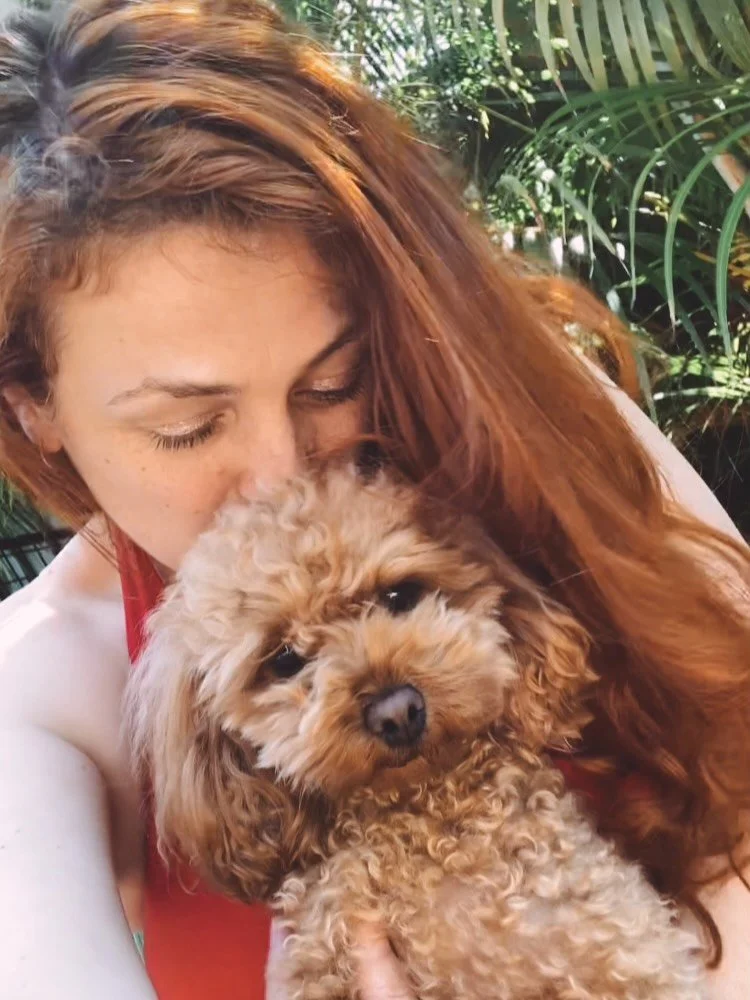 ❤️I love this little bear!🥰🐾☀️
.
#girlsbestfriend #puppylove #cavoodle #chillax #mydog