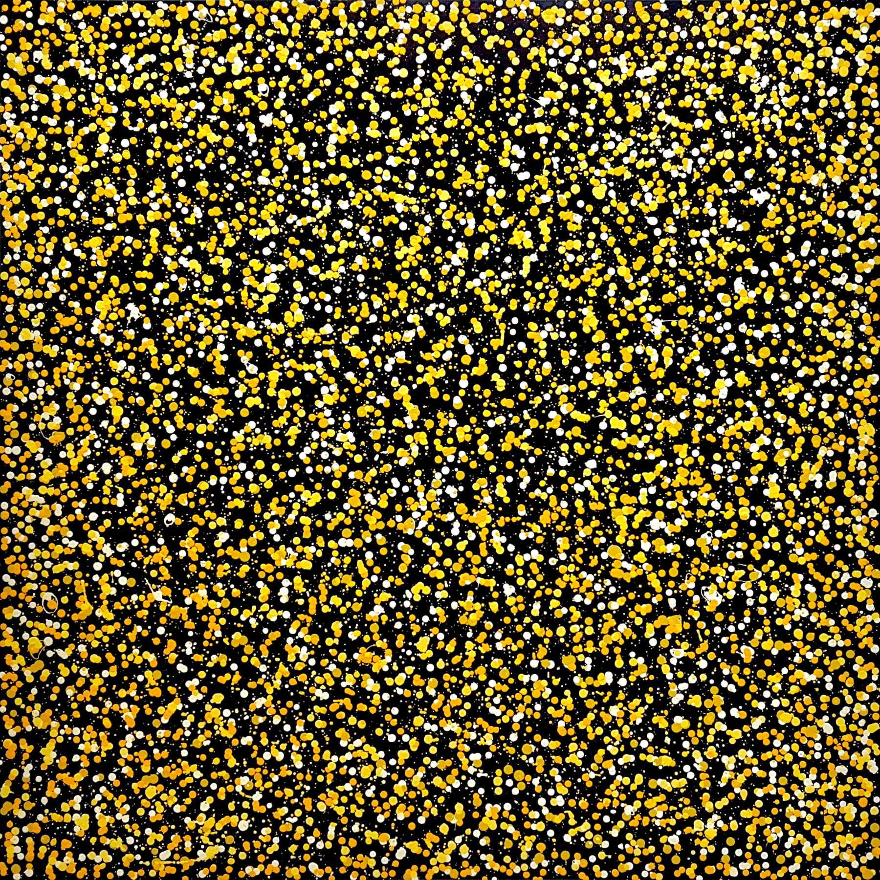 pollen-yellow-dots- abstract-deborah-lang-art-urban-canvas-7.jpg
