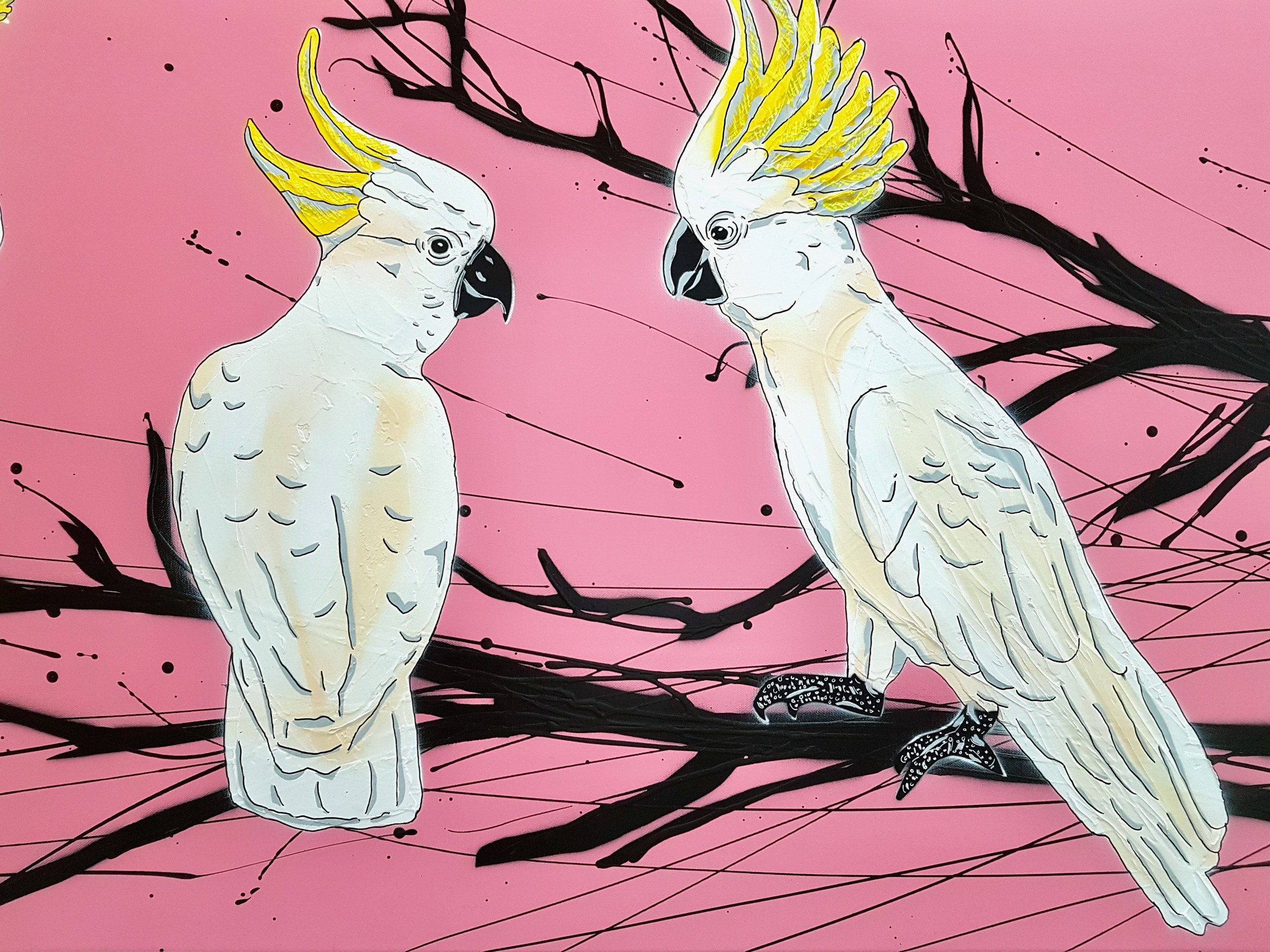 cockatoo-crackle-deborah-lang-urban-pop-art-4.jpg