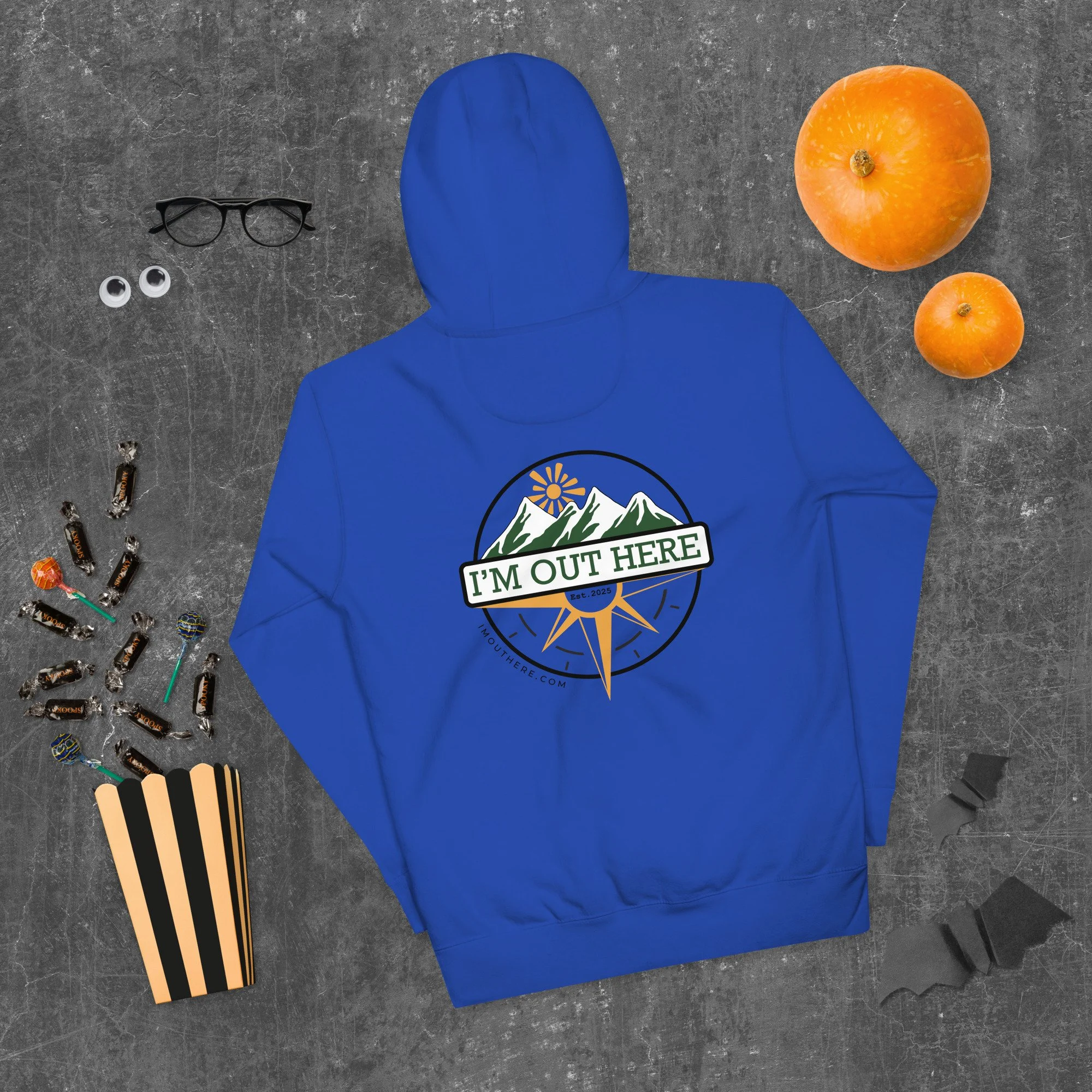 cotton-heritage-m2580-i-unisex-premium-pullover-hoodie-team-royal-back-68b5f4e2bbccd.jpg