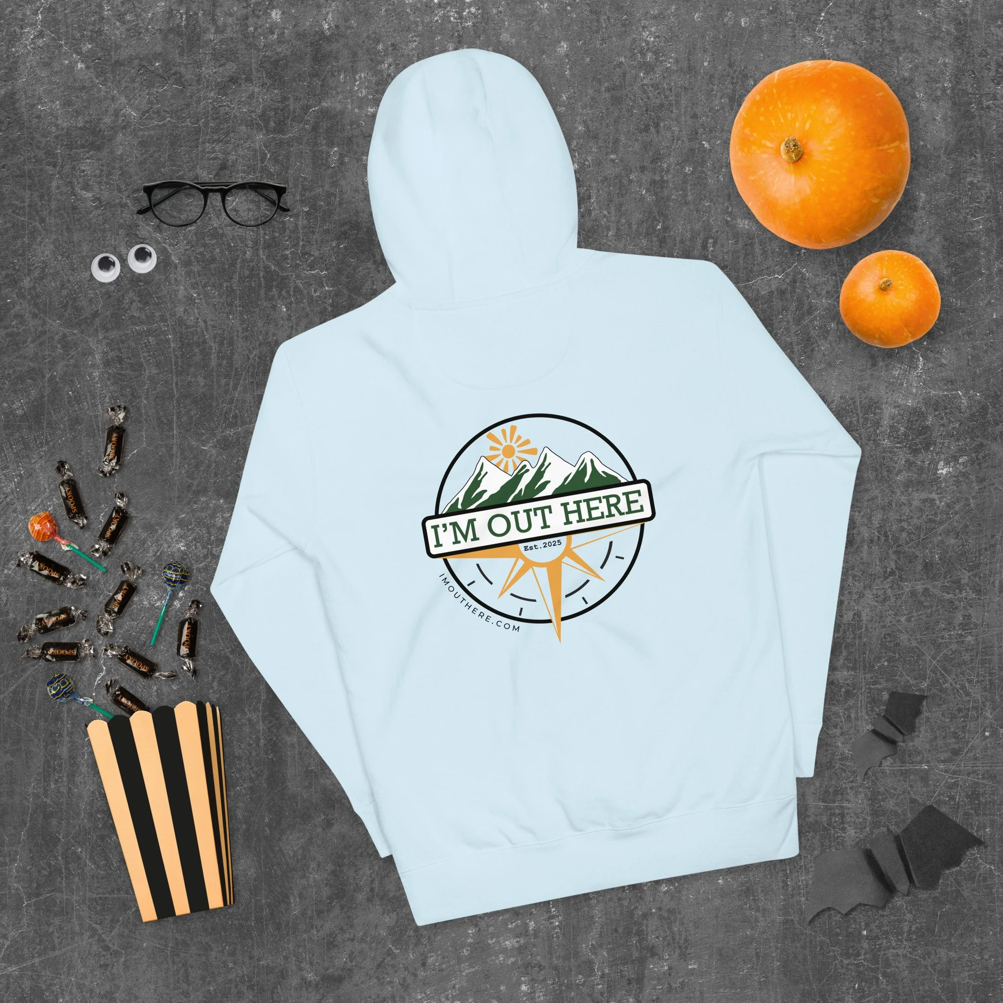 cotton-heritage-m2580-i-unisex-premium-pullover-hoodie-sky-blue-back-68b5f4e37020e.jpg