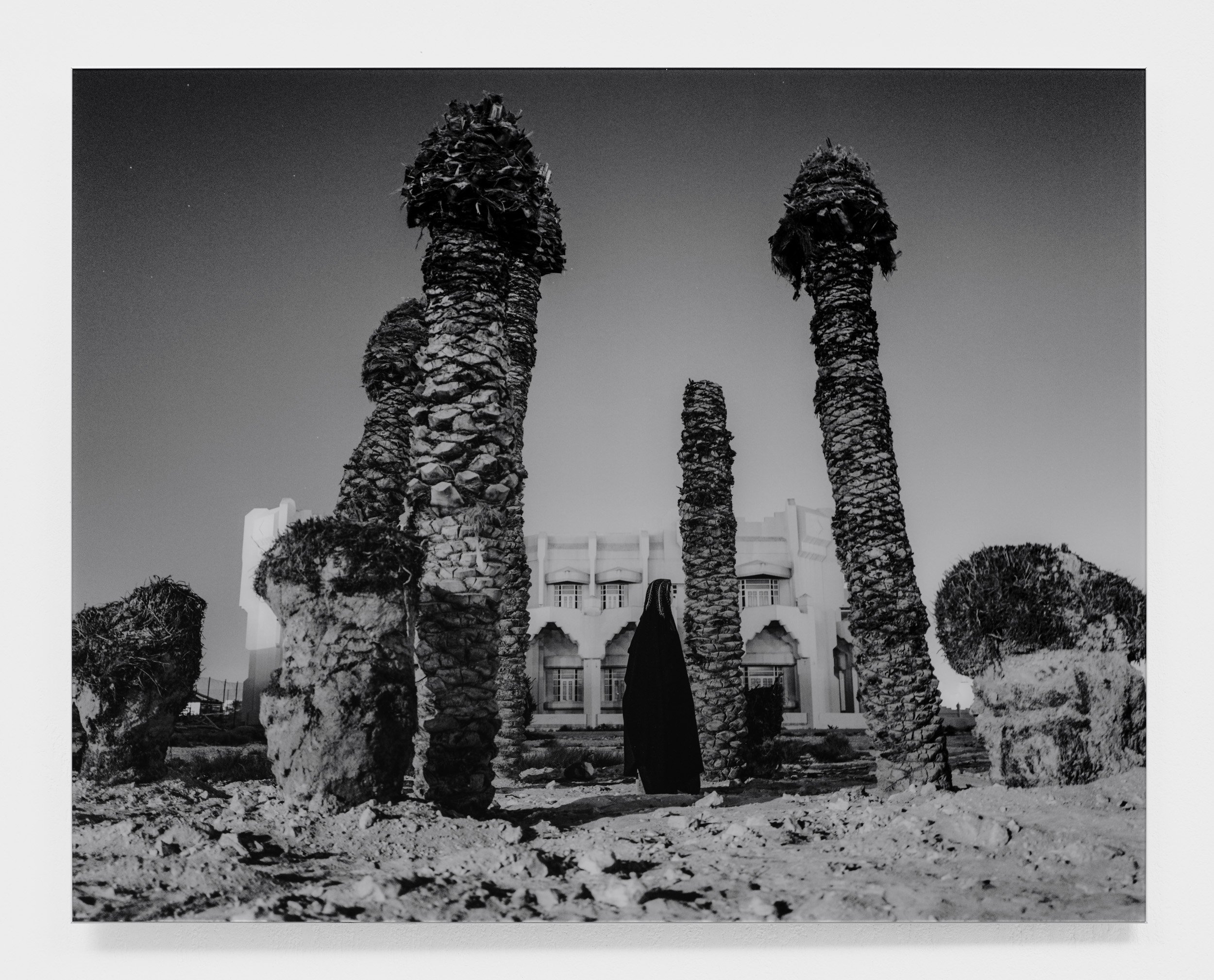  Growth Shayla, Site-Specific Tree Installation, 2024 Acrylic Metallic Print 62.8 x 50 cm
