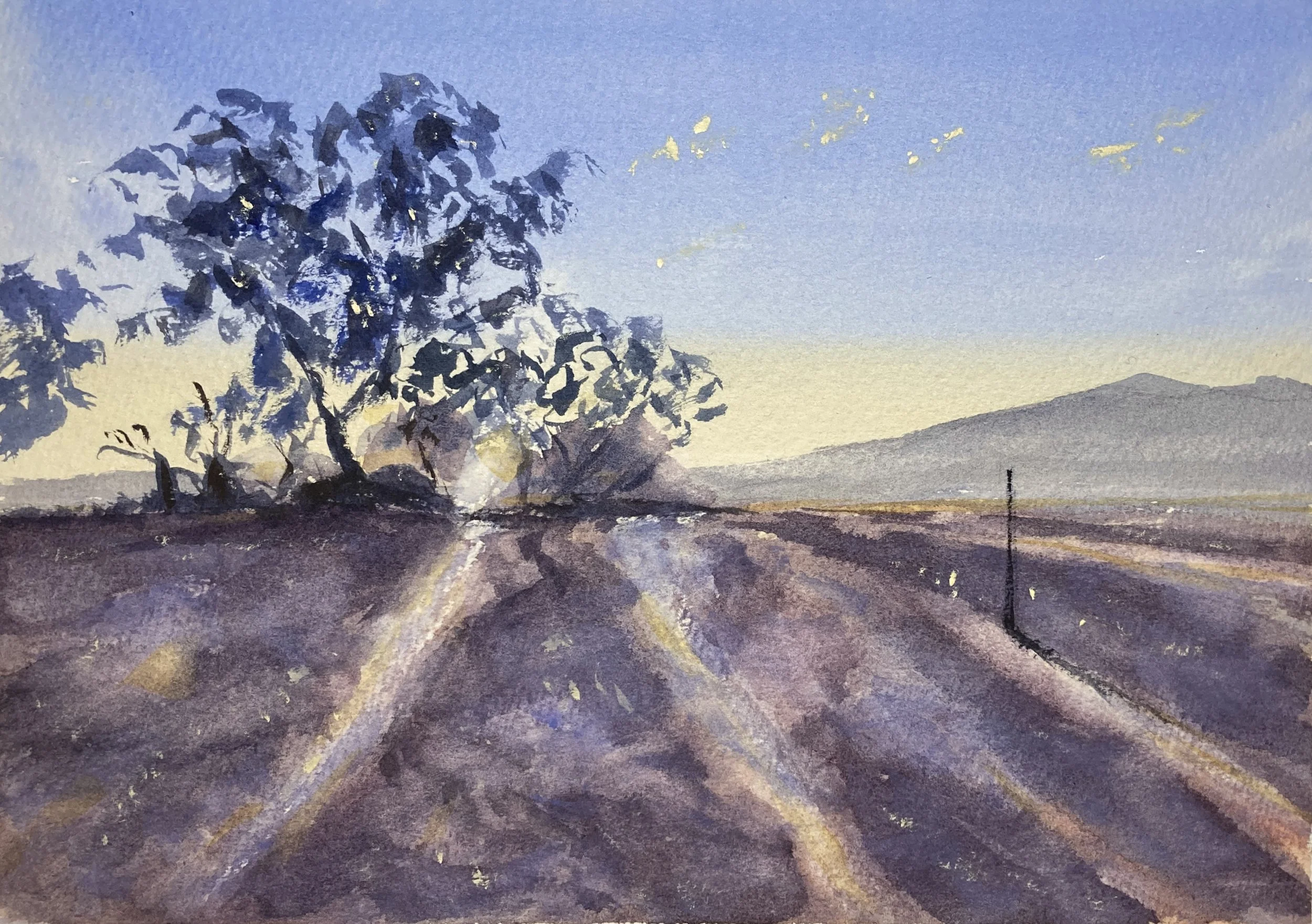 Dawn fields on the way to Cordoba II