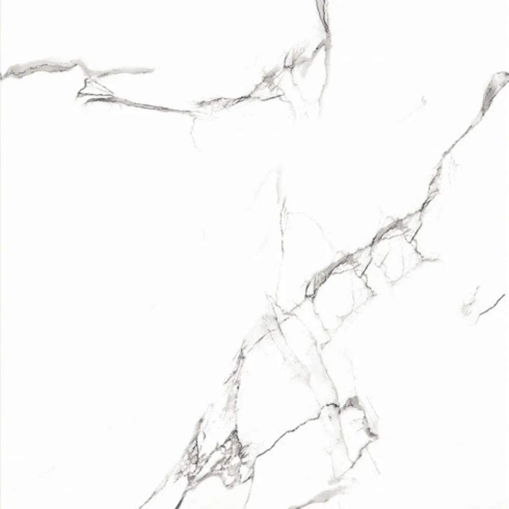 60X60 Glossy