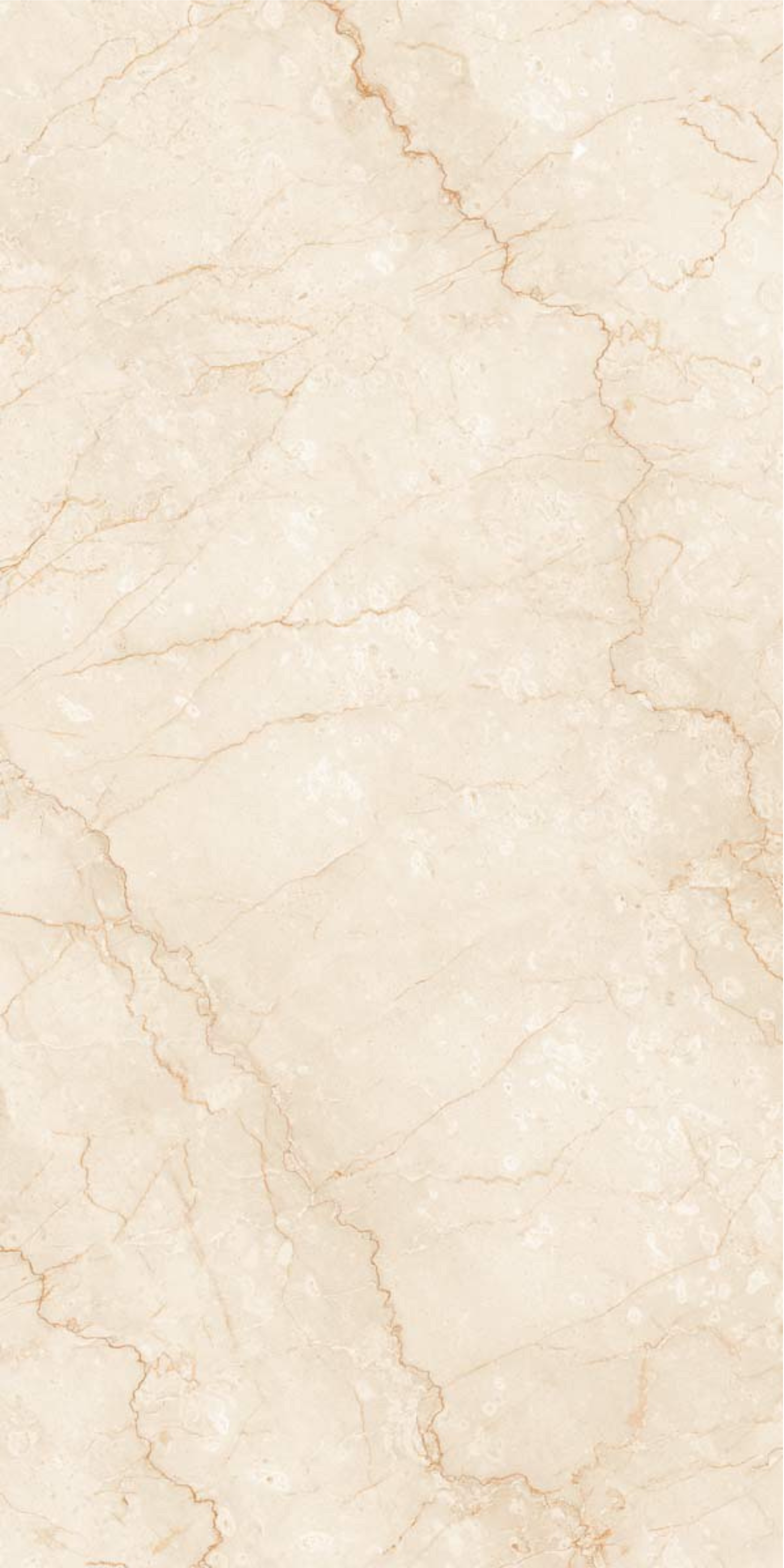 BOTICA BEIGE
