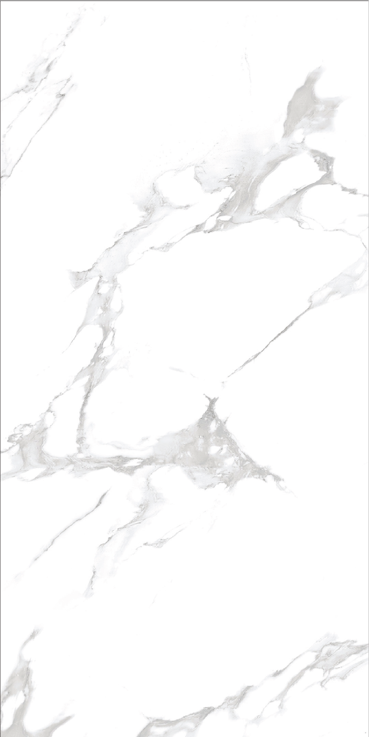 60X120 Glossy