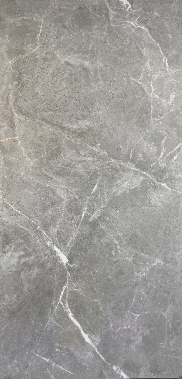 BIGWING GRIS ENDLESS 60X120.jpeg