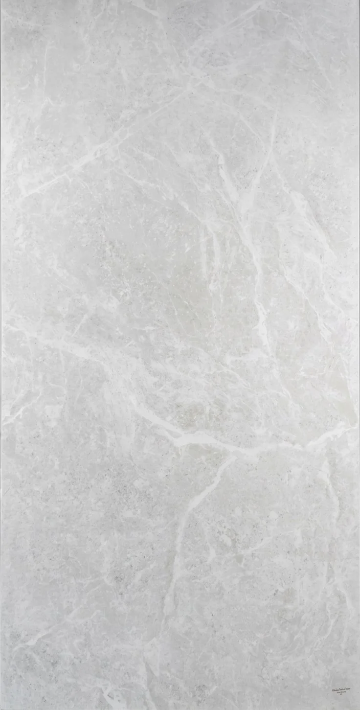 BIGWING WHITE ENDLESS 60X120.jpeg